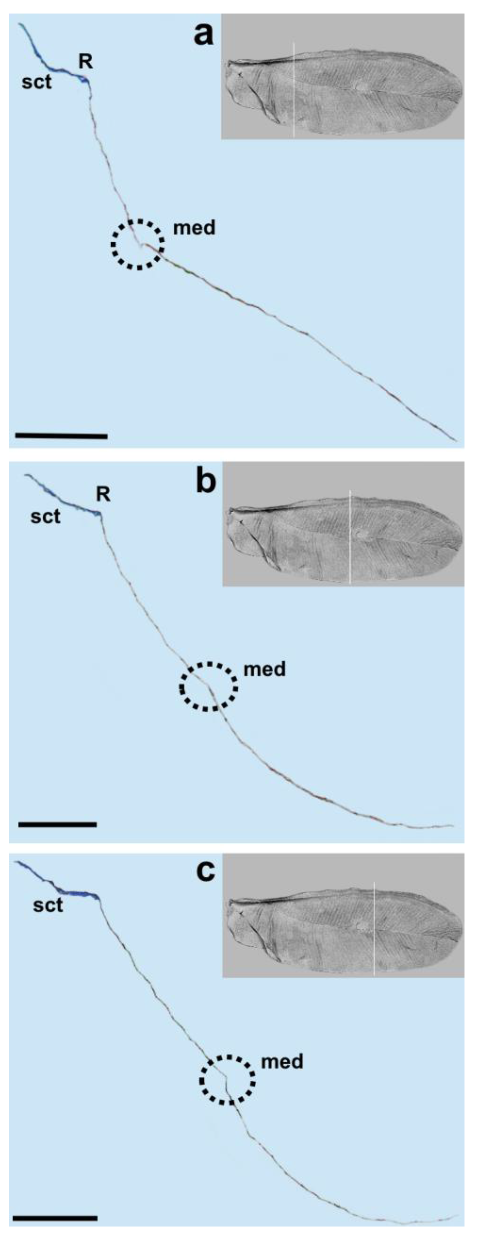 Insects 14 00390 g005 Insects 14 00390 g005