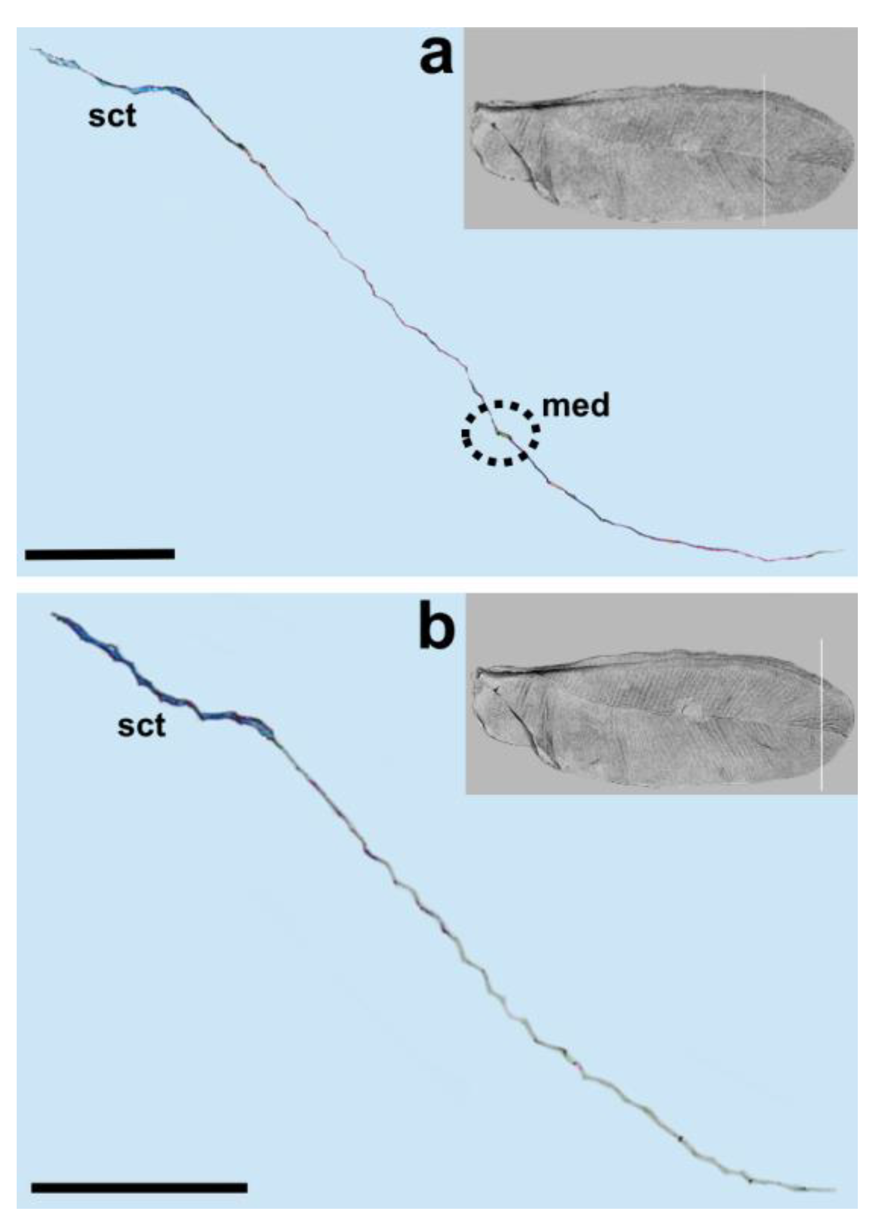 Insects 14 00390 g006 Insects 14 00390 g006