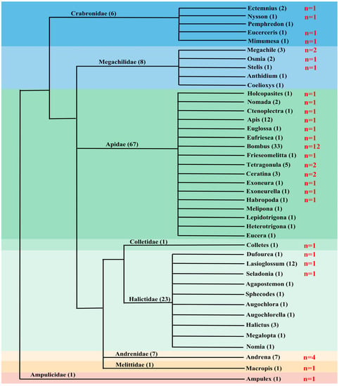 Insects | Free Full-Text | Evolution of piggyBac Transposons in