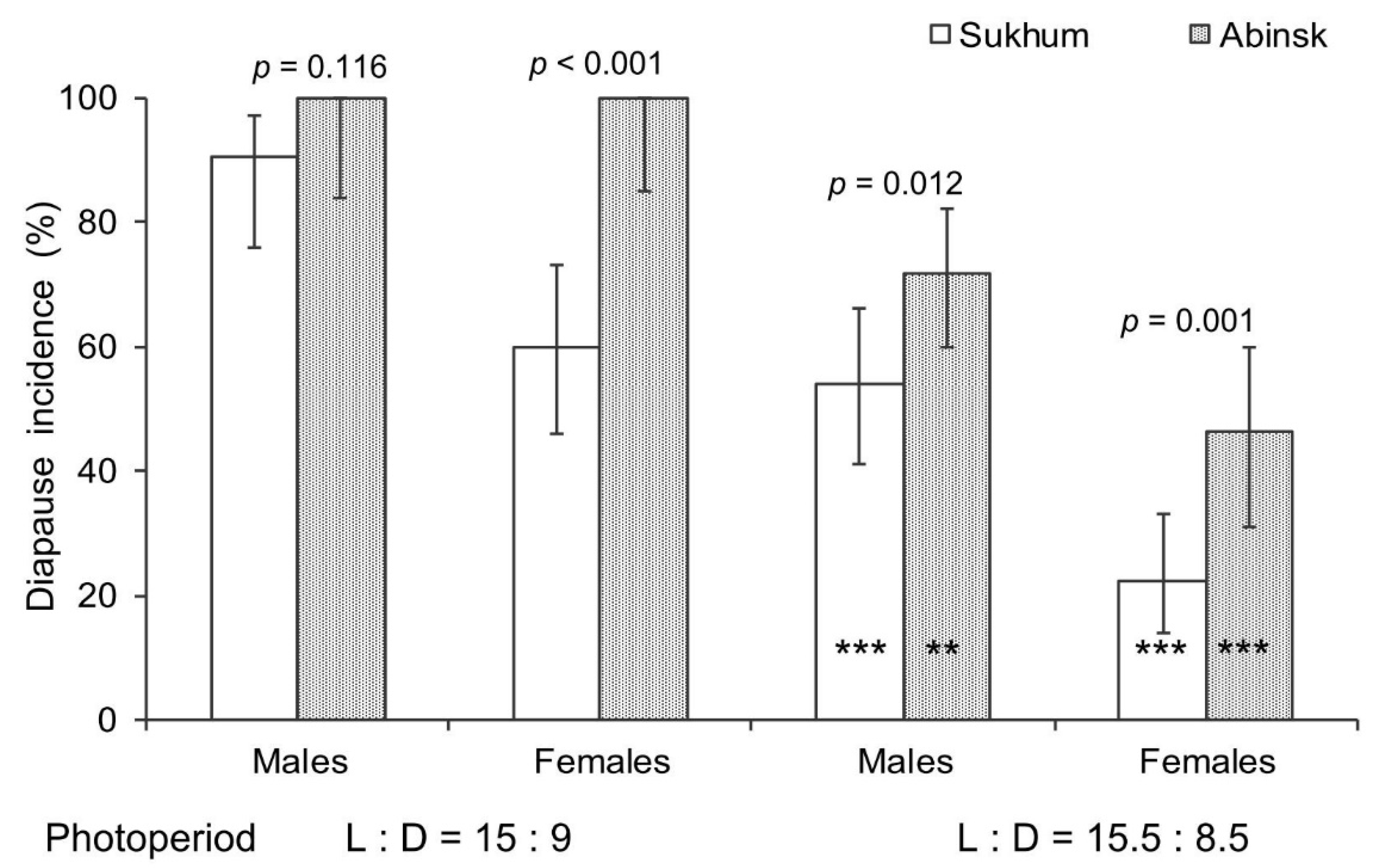 Halyomorpha halys: maschio (A, C) e femmina (B, D)