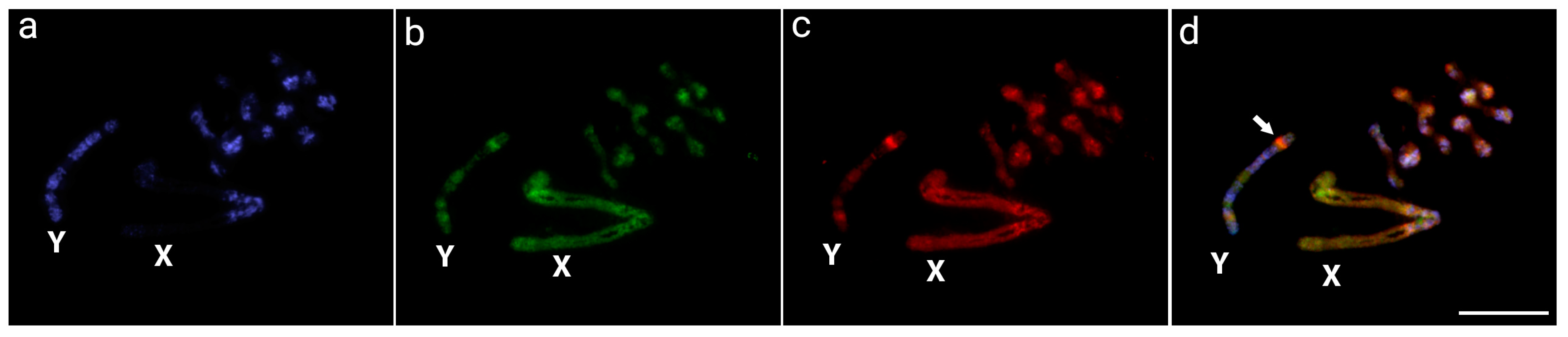 Insects 14 00440 g001