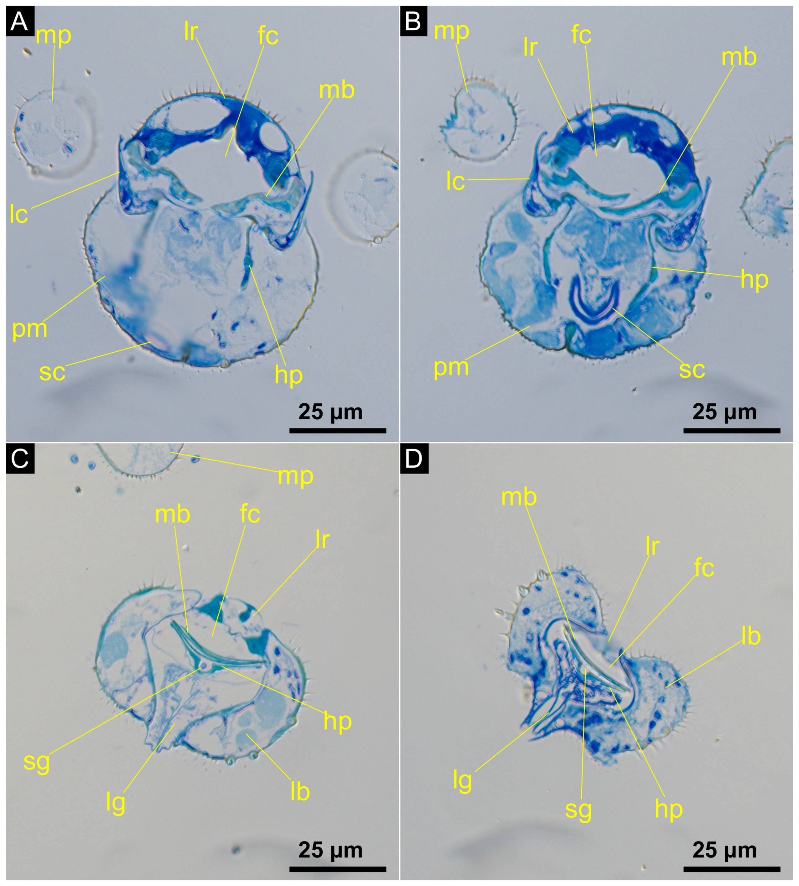 Insects 14 00461 g003 Insects 14 00461 g003