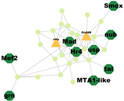 Insects 14 00503 i001