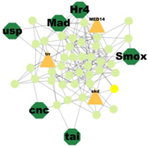 Insects 14 00503 i005