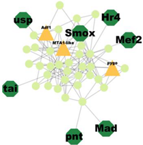 Insects 14 00503 i007