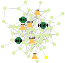 Insects 14 00503 i009