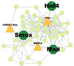 Insects 14 00503 i010