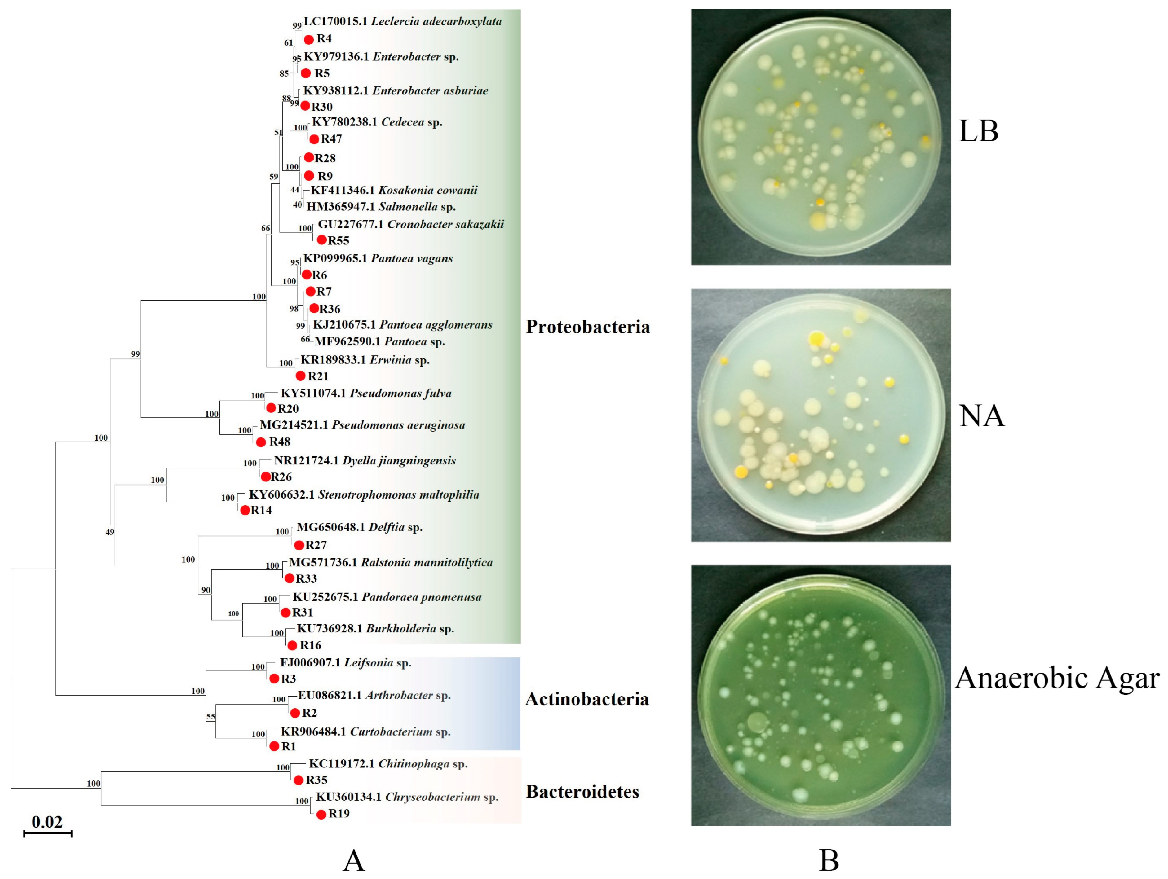 Insects 14 00504 g001 Insects 14 00504 g001
