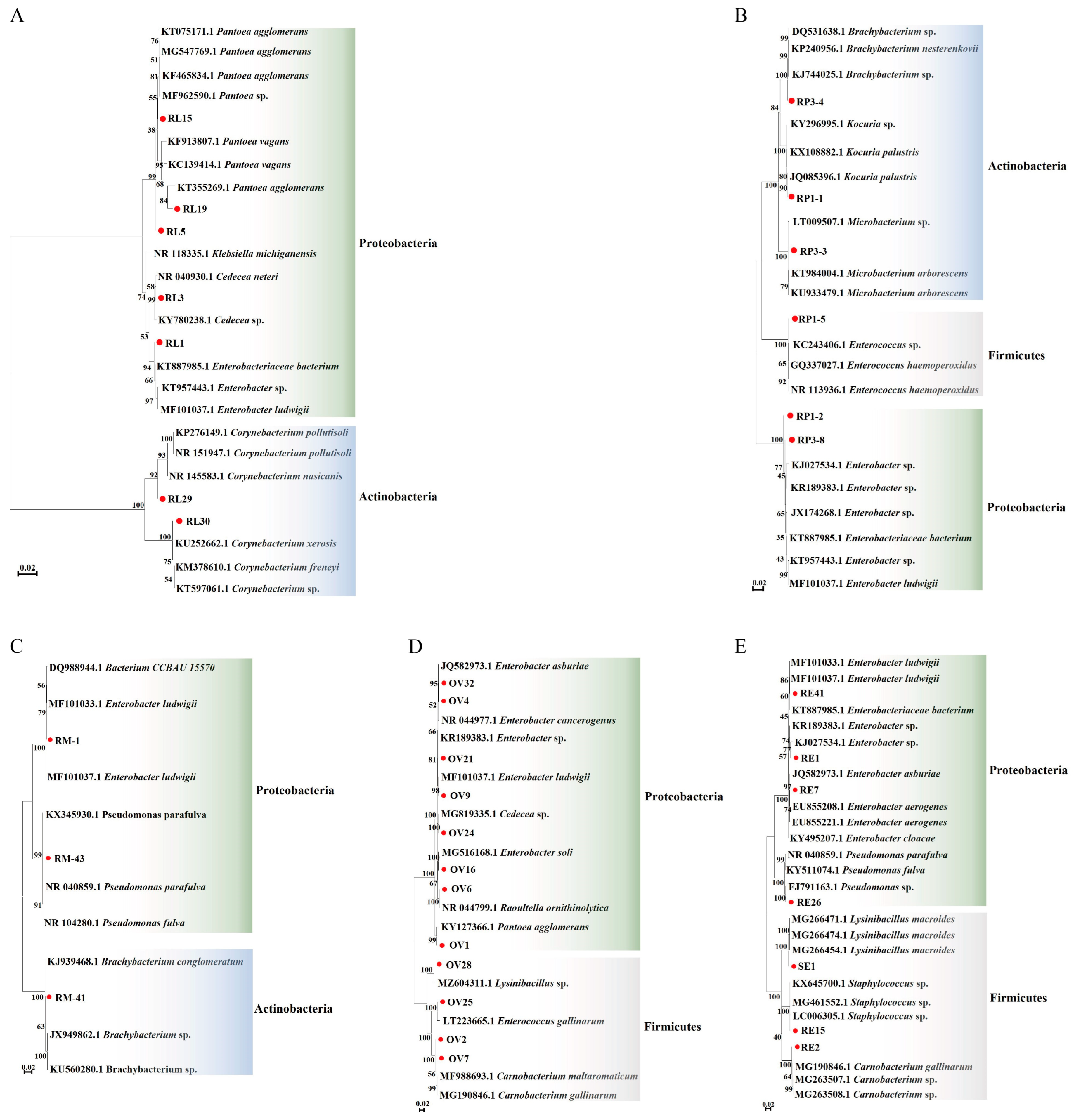 Insects 14 00504 g002 Insects 14 00504 g002