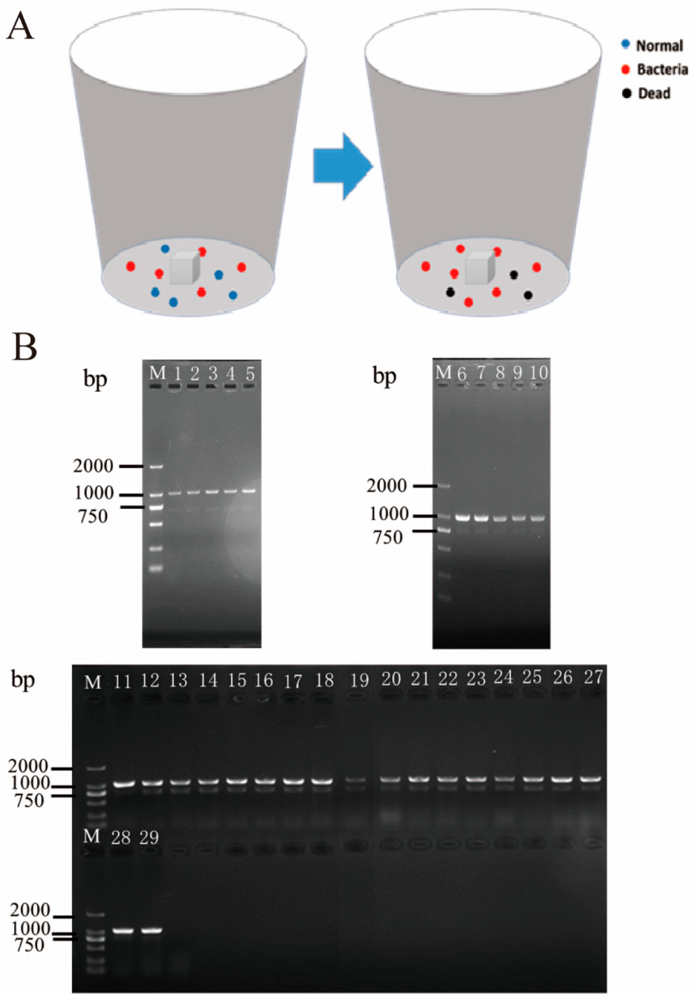 Insects 14 00504 g005 Insects 14 00504 g005
