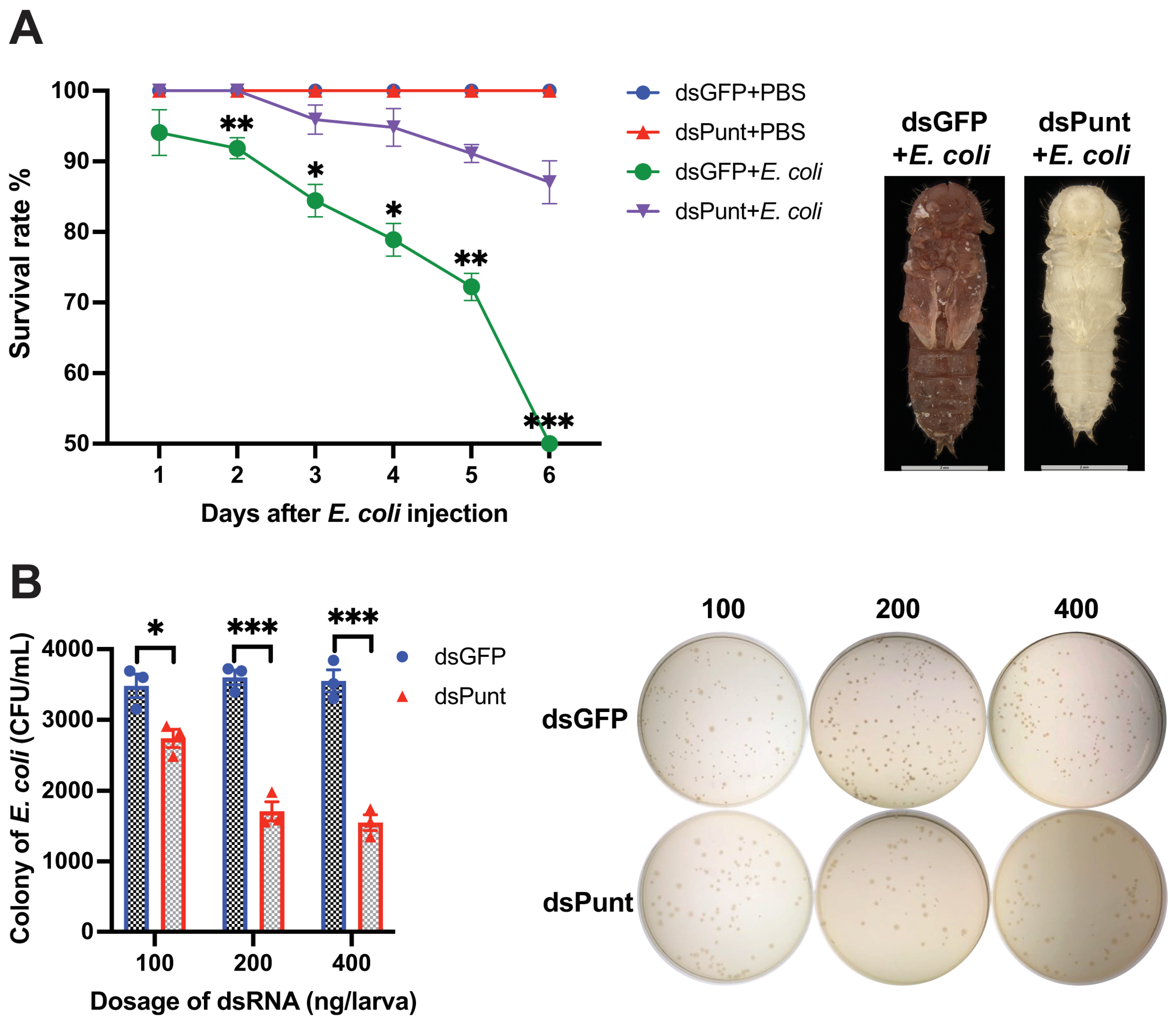 Insects 14 00515 g003 Insects 14 00515 g003