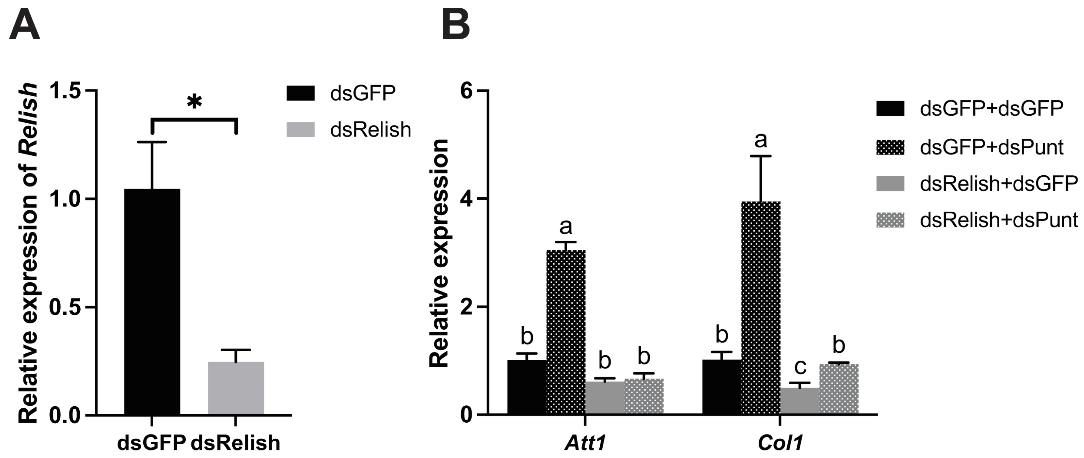 Insects 14 00515 g004 Insects 14 00515 g004
