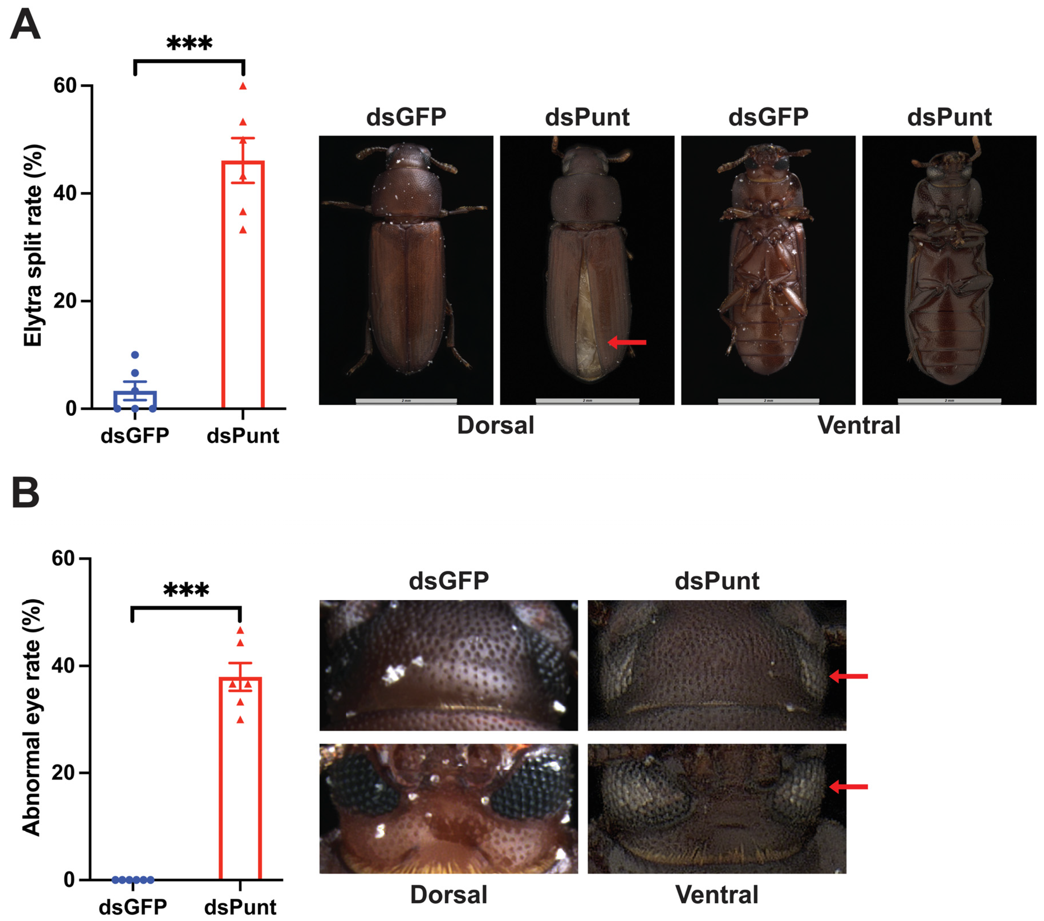 Insects 14 00515 g005 Insects 14 00515 g005