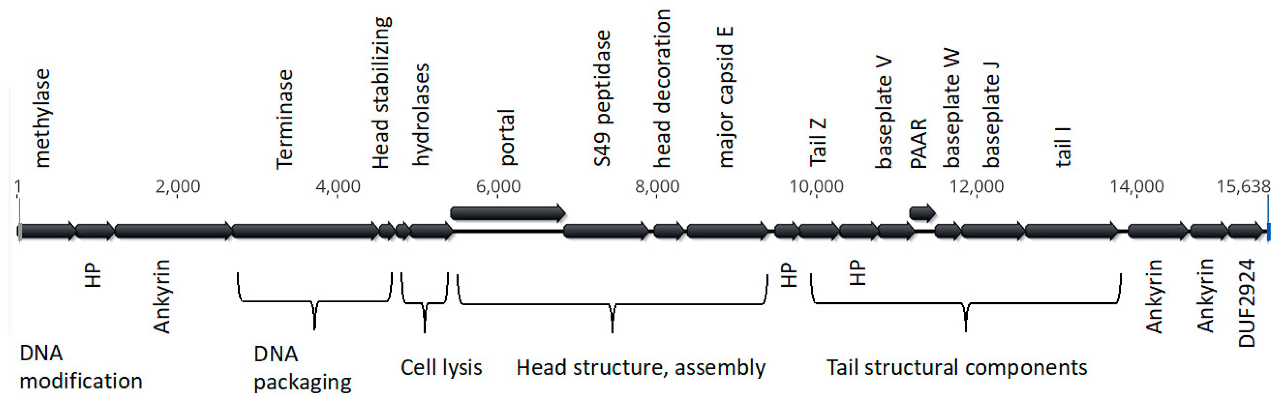 Insects 14 00516 g002 Insects 14 00516 g002