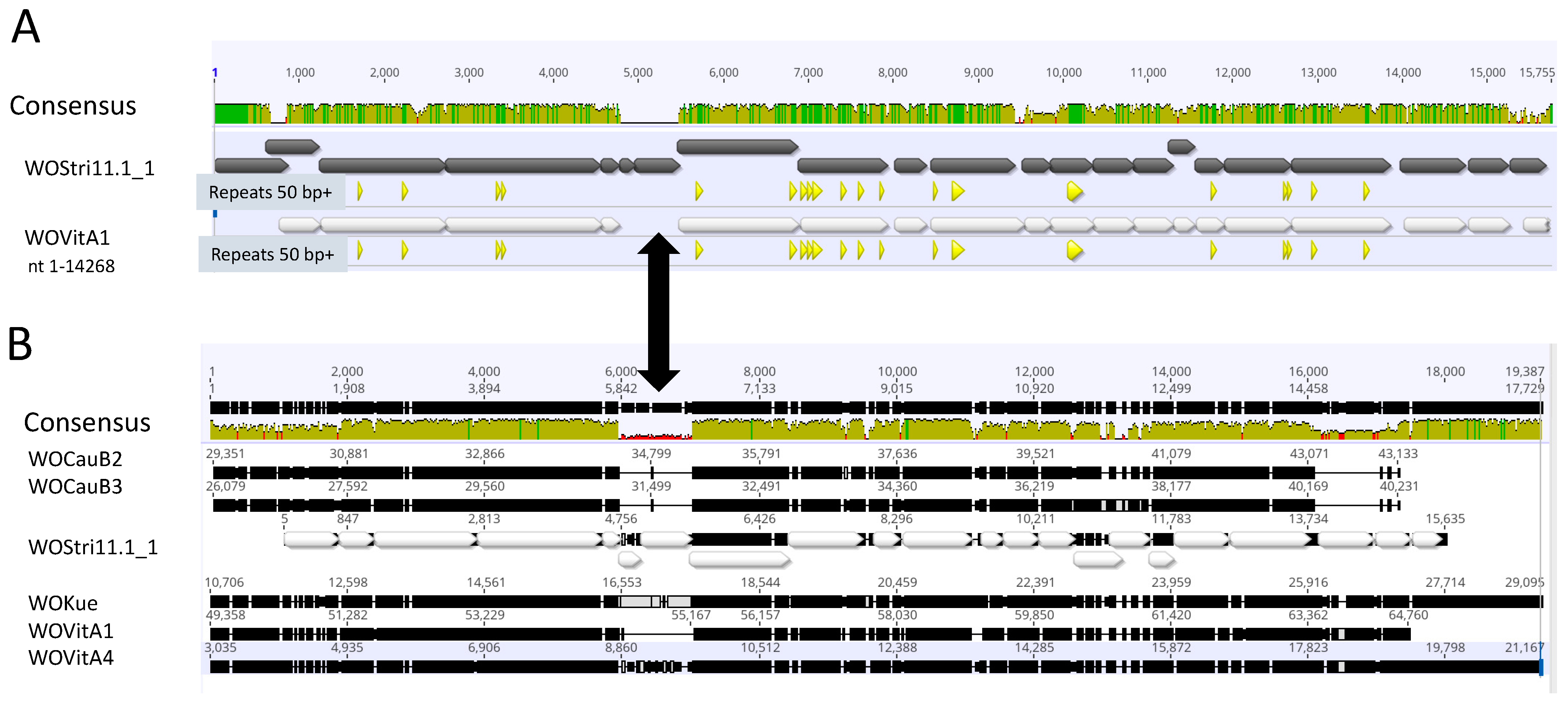 Insects 14 00516 g003 Insects 14 00516 g003