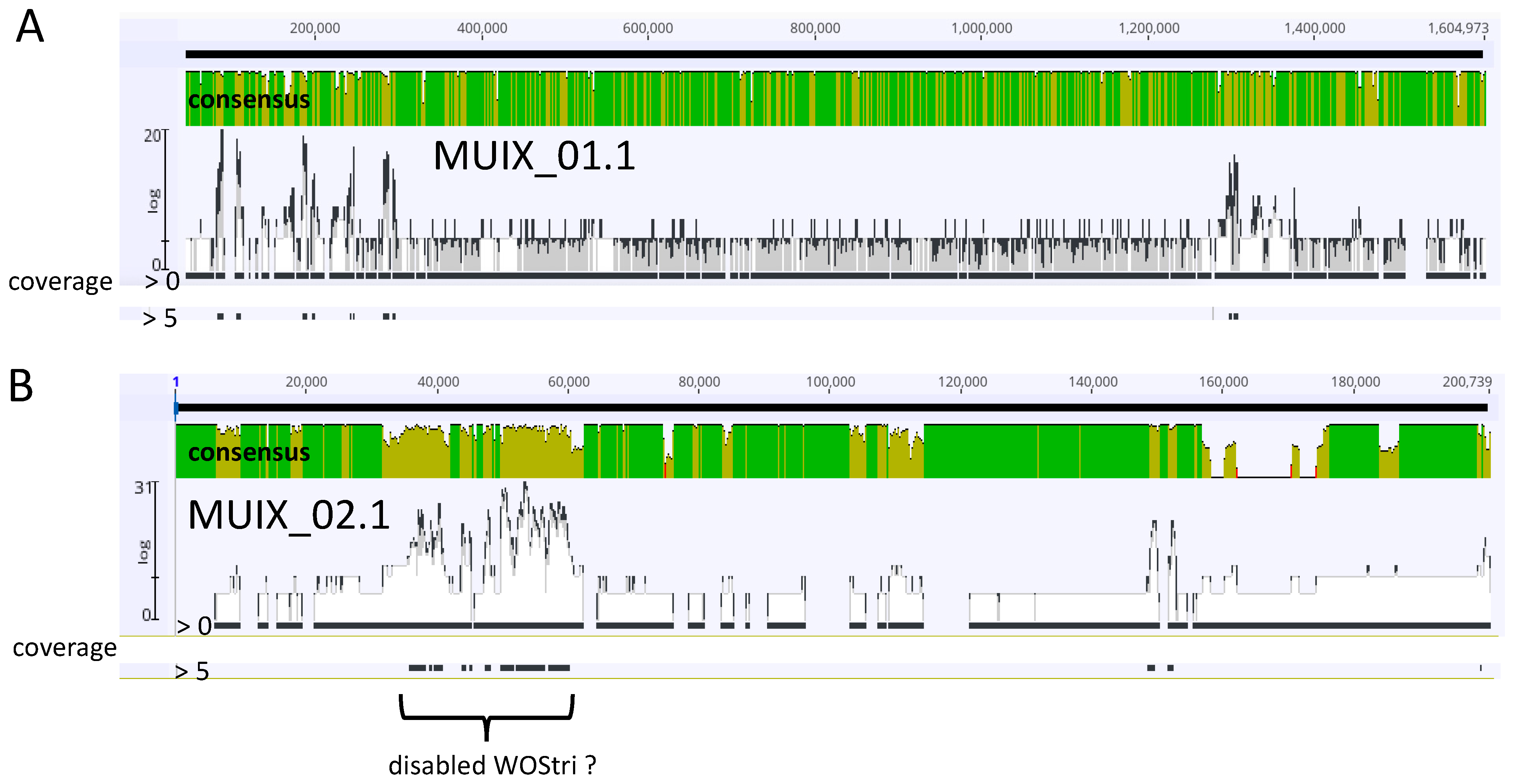 Insects 14 00516 g005 Insects 14 00516 g005