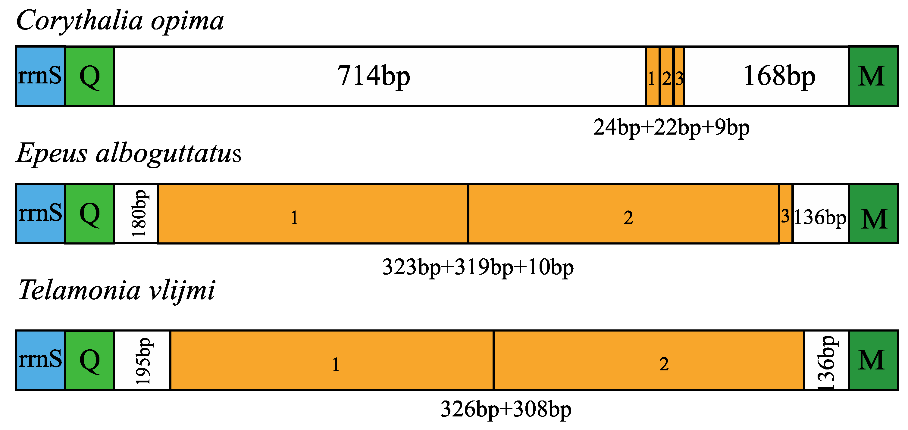 Insects 14 00517 g007