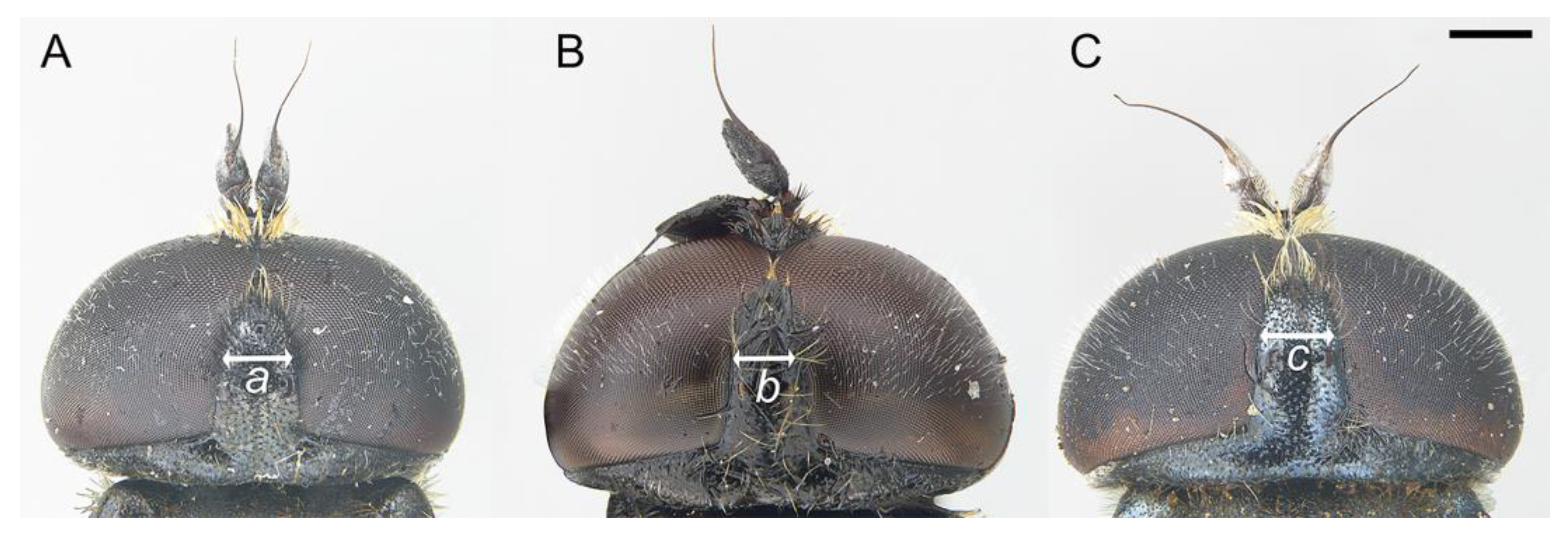 Insects 14 00541 g004 Insects 14 00541 g004