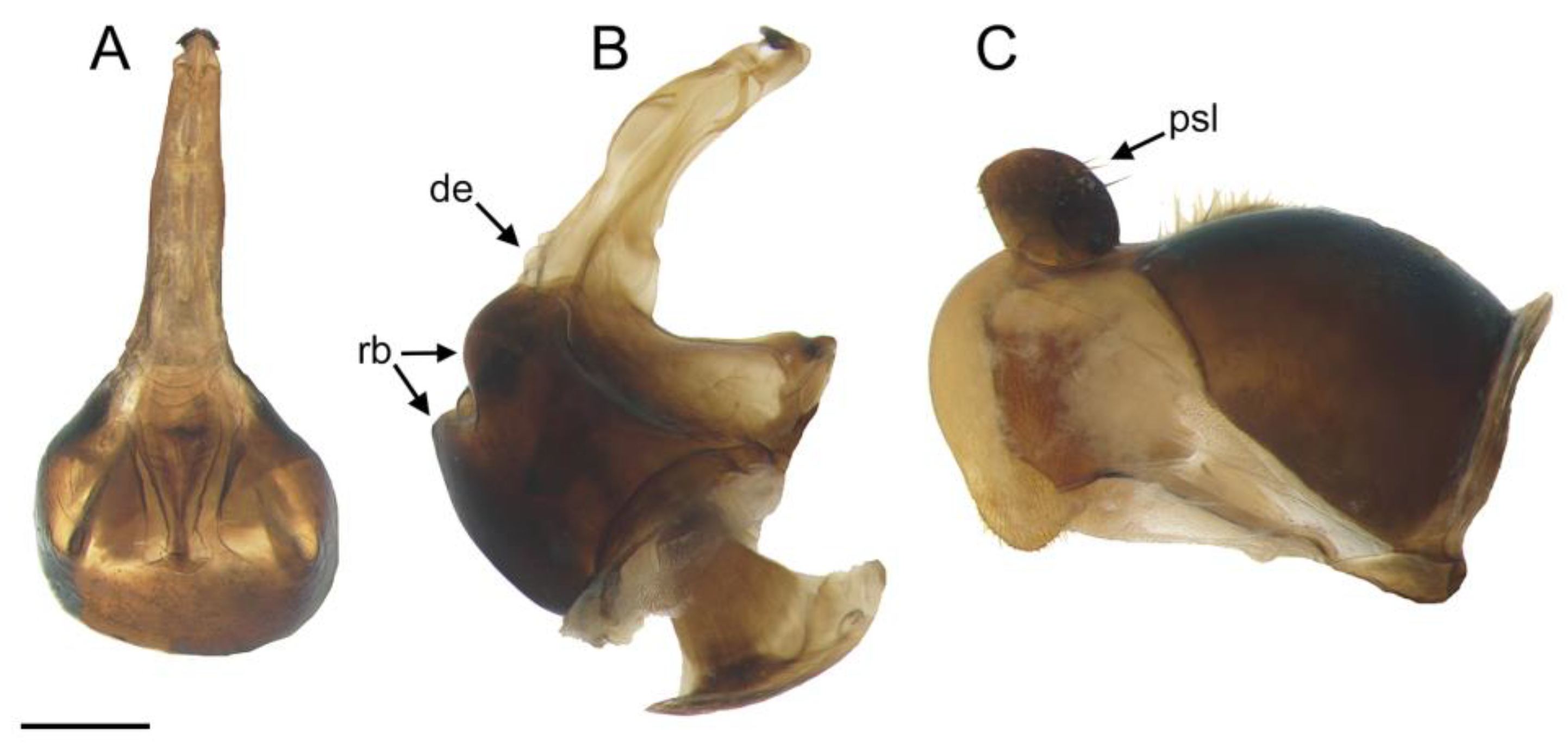 Insects 14 00541 g005 Insects 14 00541 g005