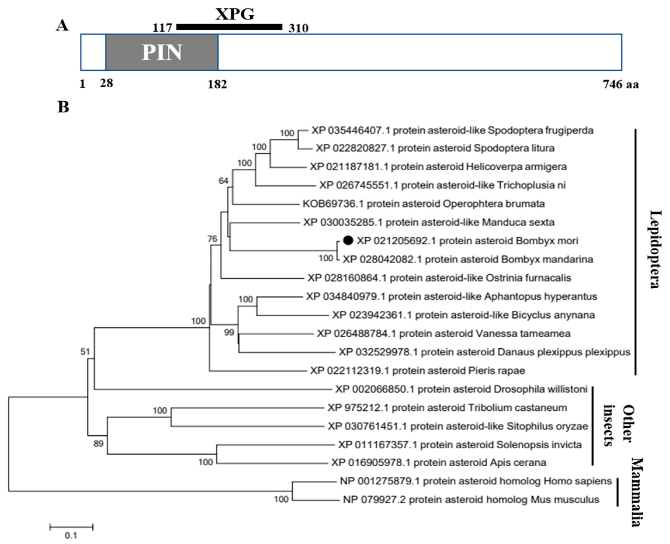Insects 14 00550 g001