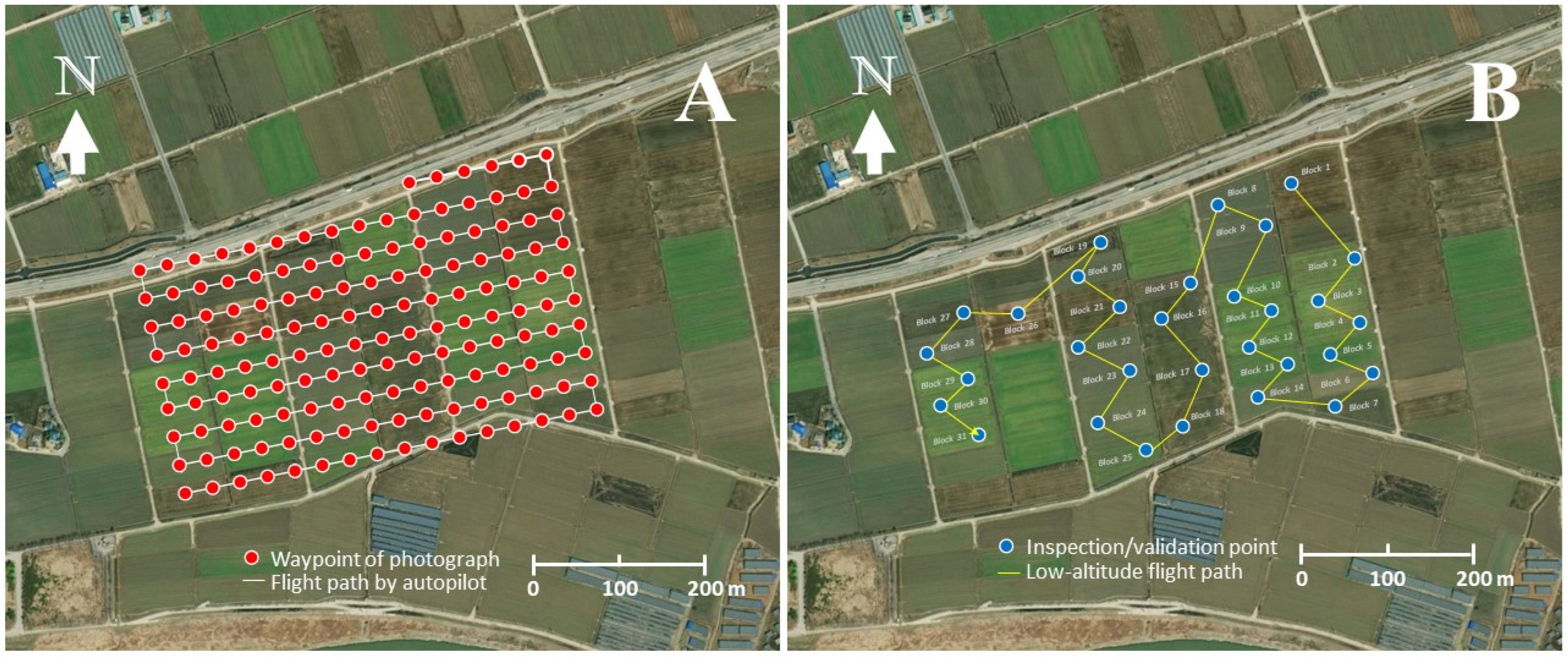 Insects 14 00555 g003