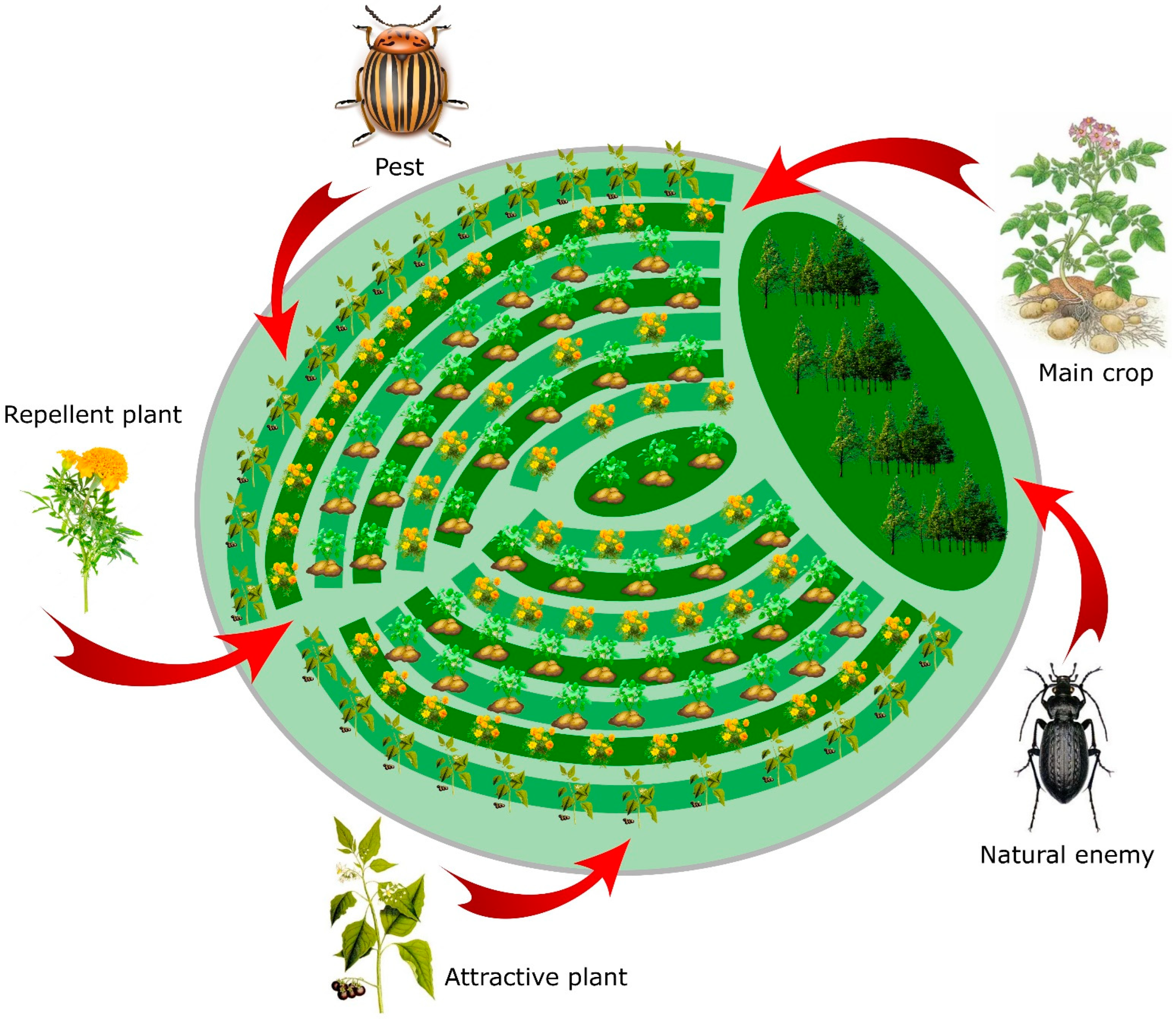 Insects 14 00557 g003