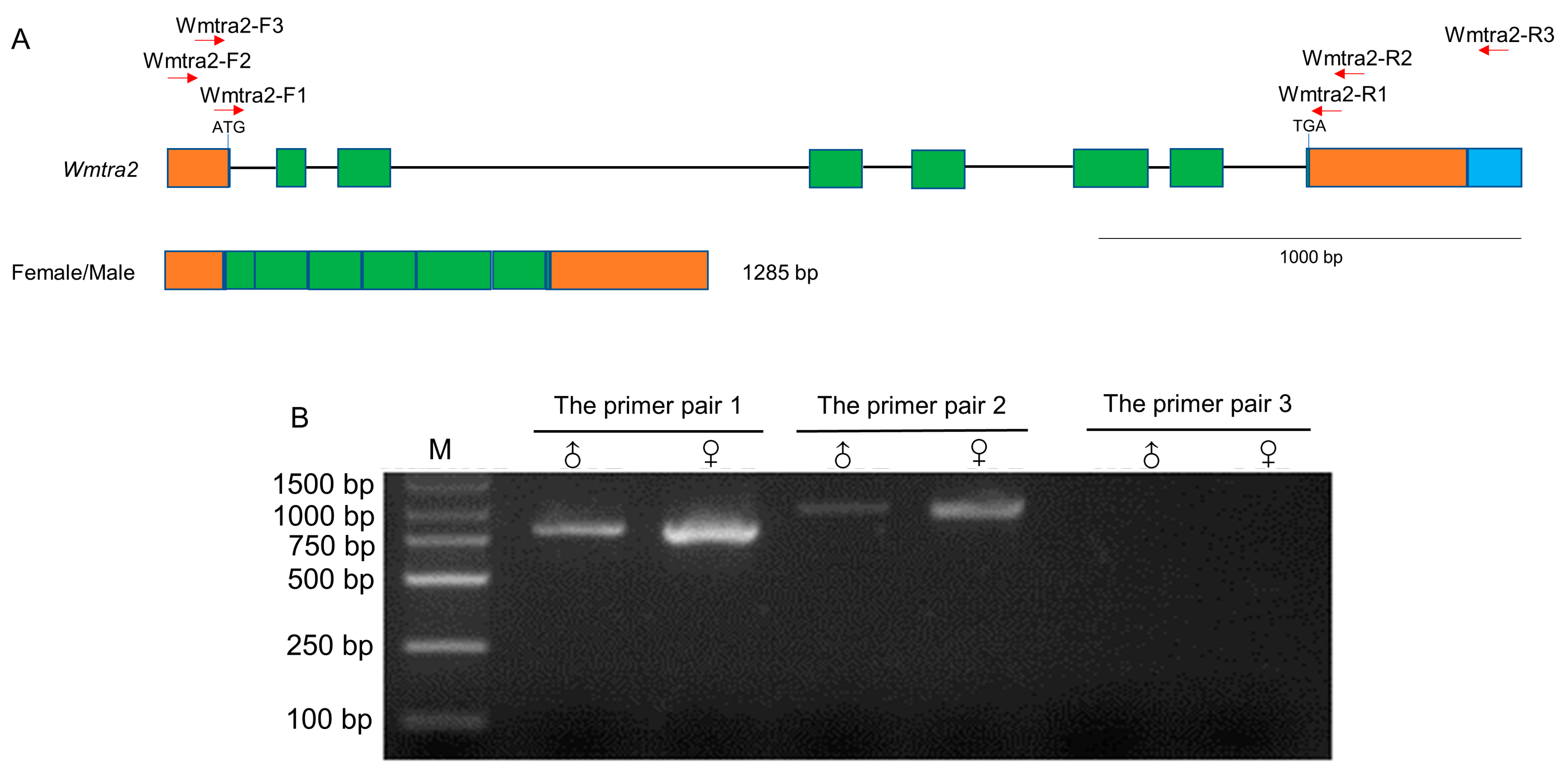 Insects 14 00620 g003
