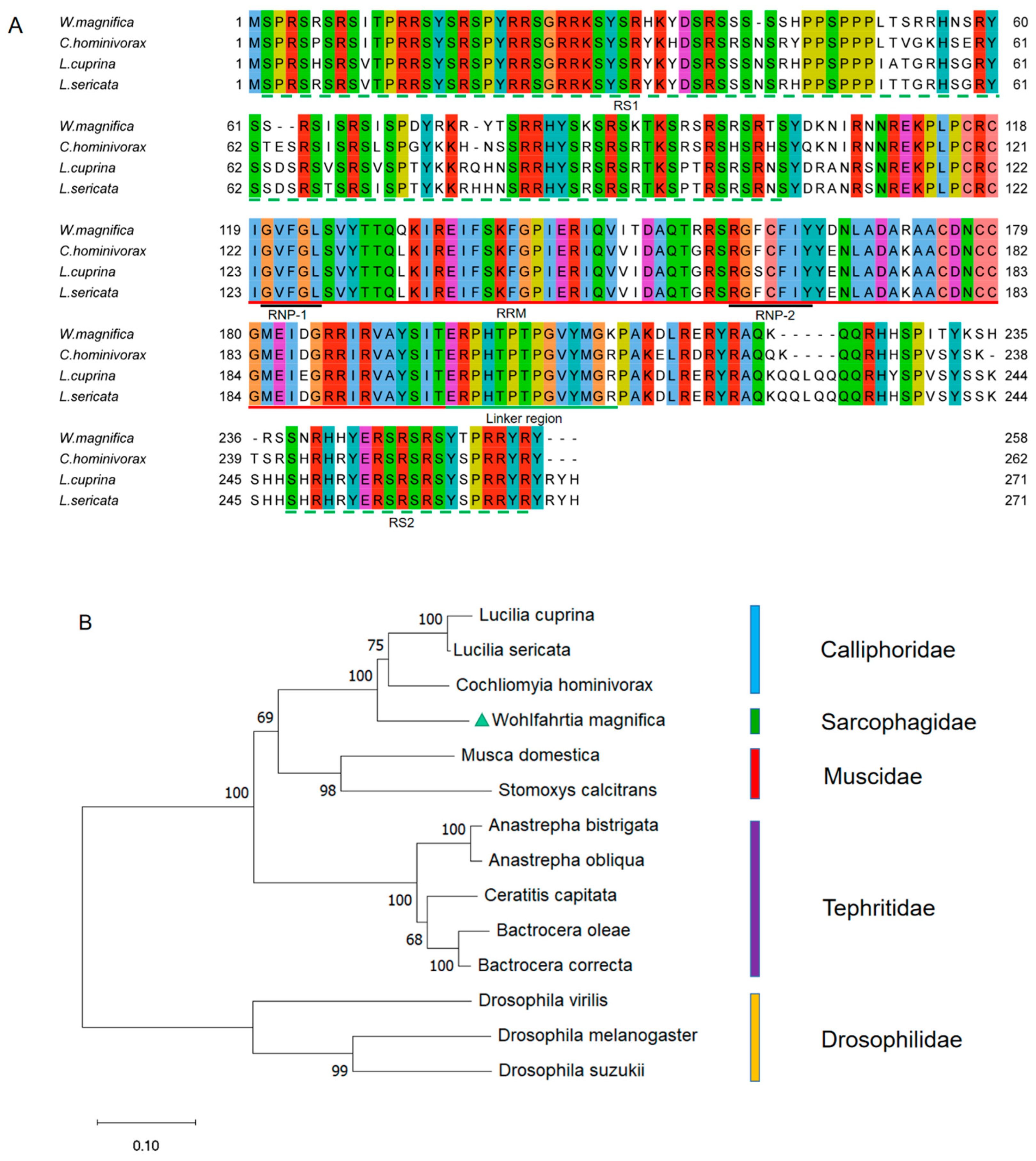 Insects 14 00620 g004