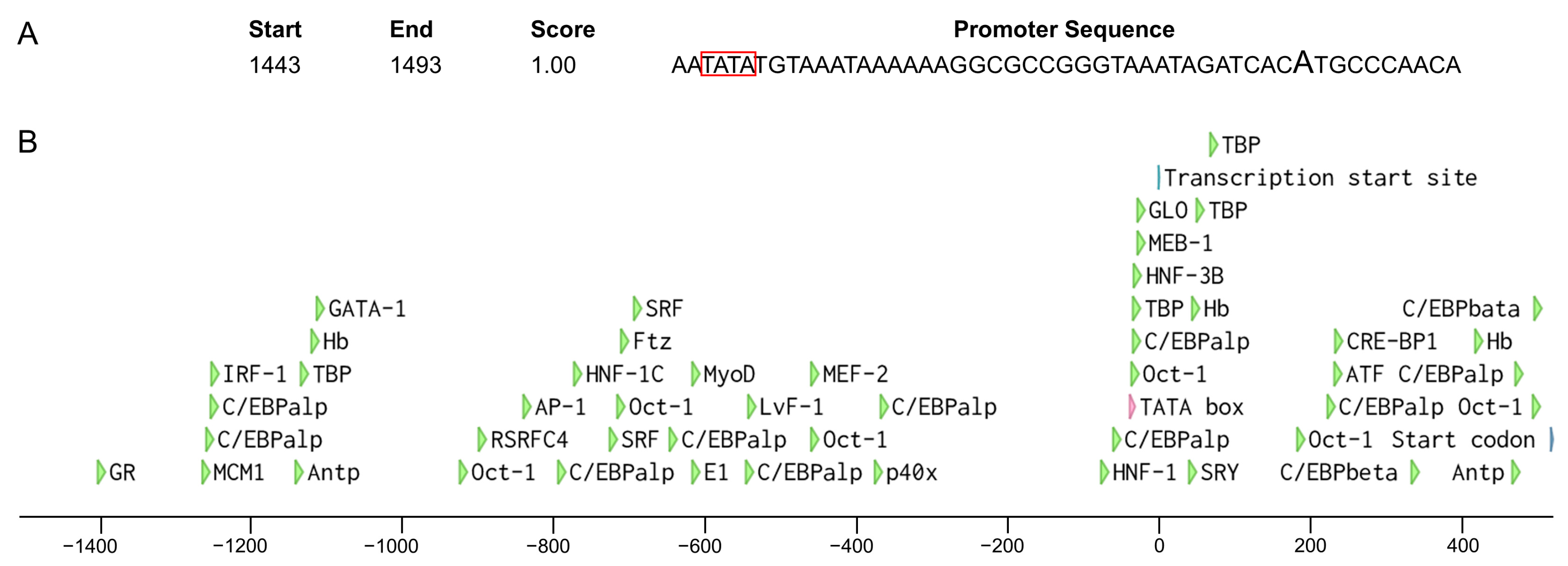 Insects 14 00620 g009