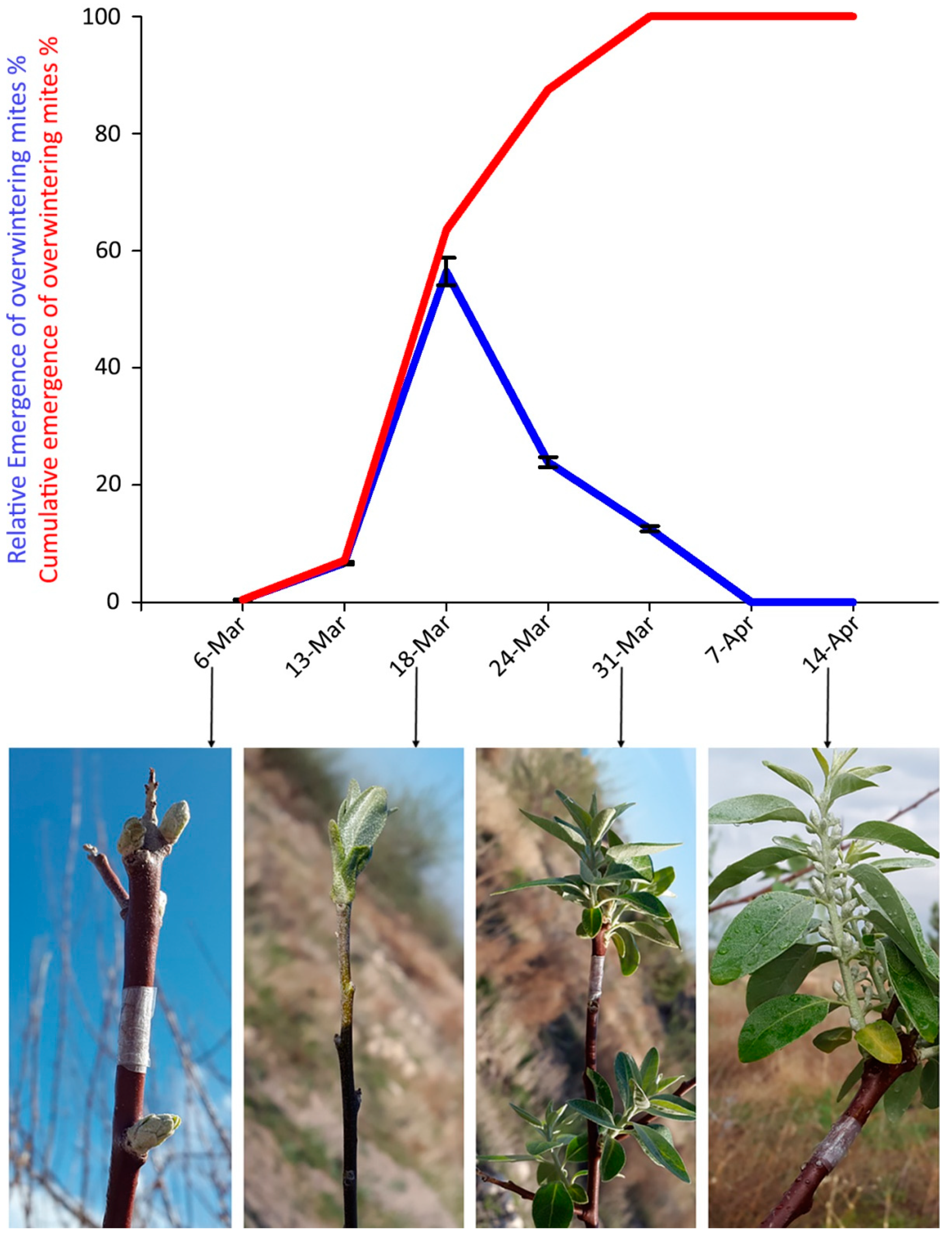 Insects 14 00633 g005