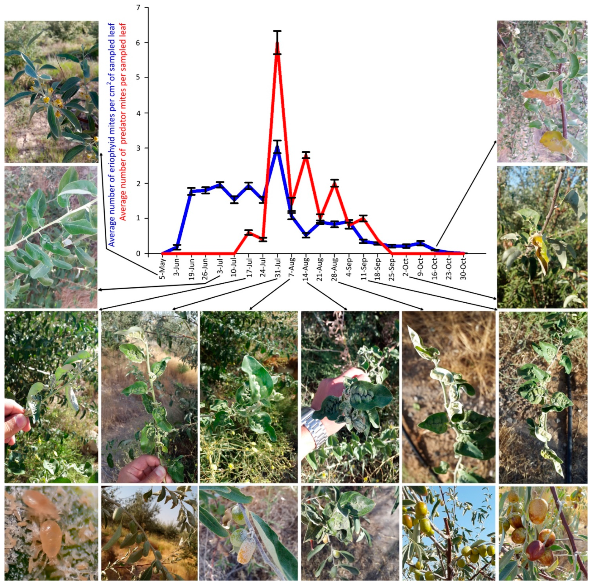 Insects 14 00633 g007