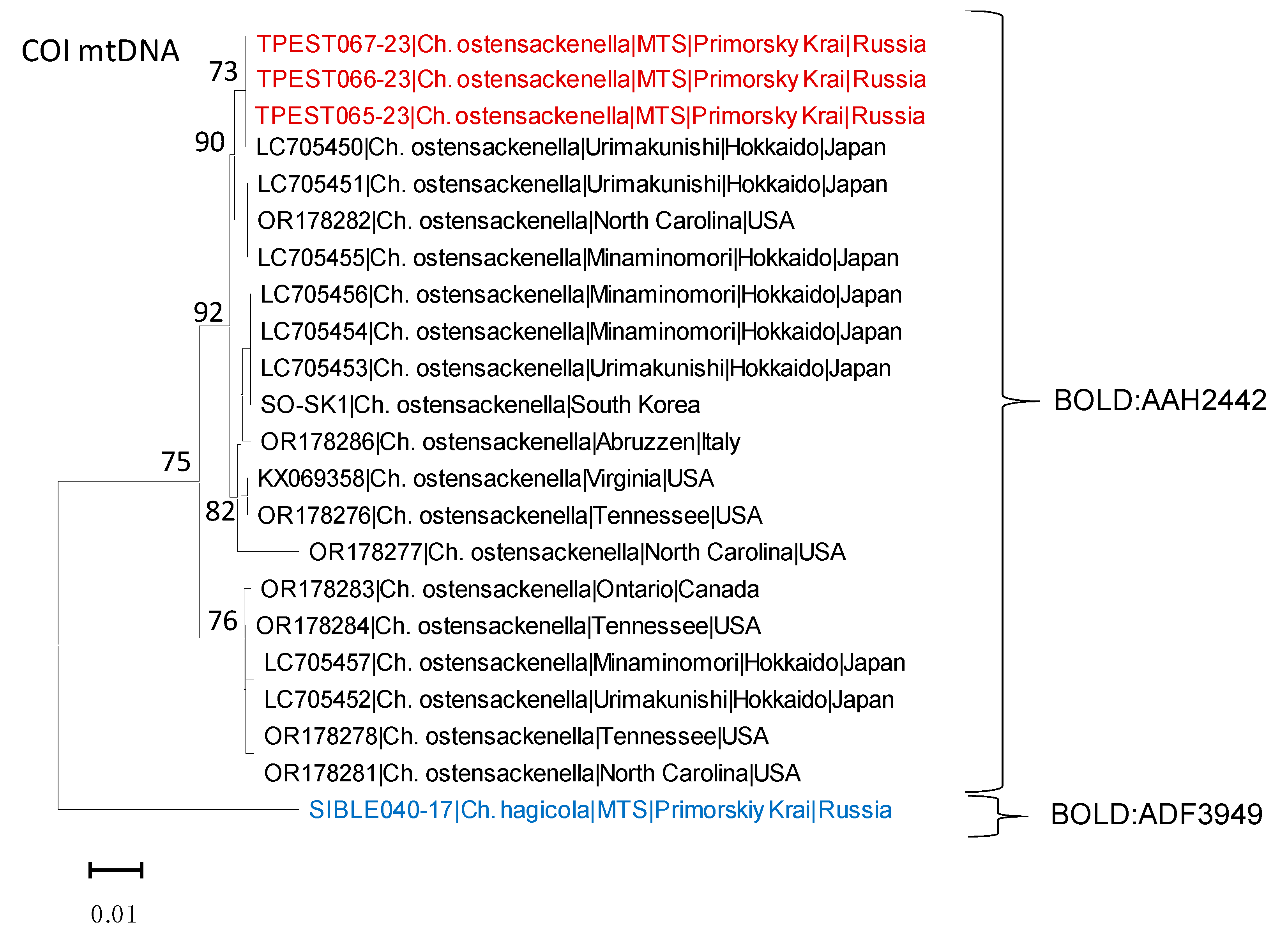 Insects 14 00642 g005