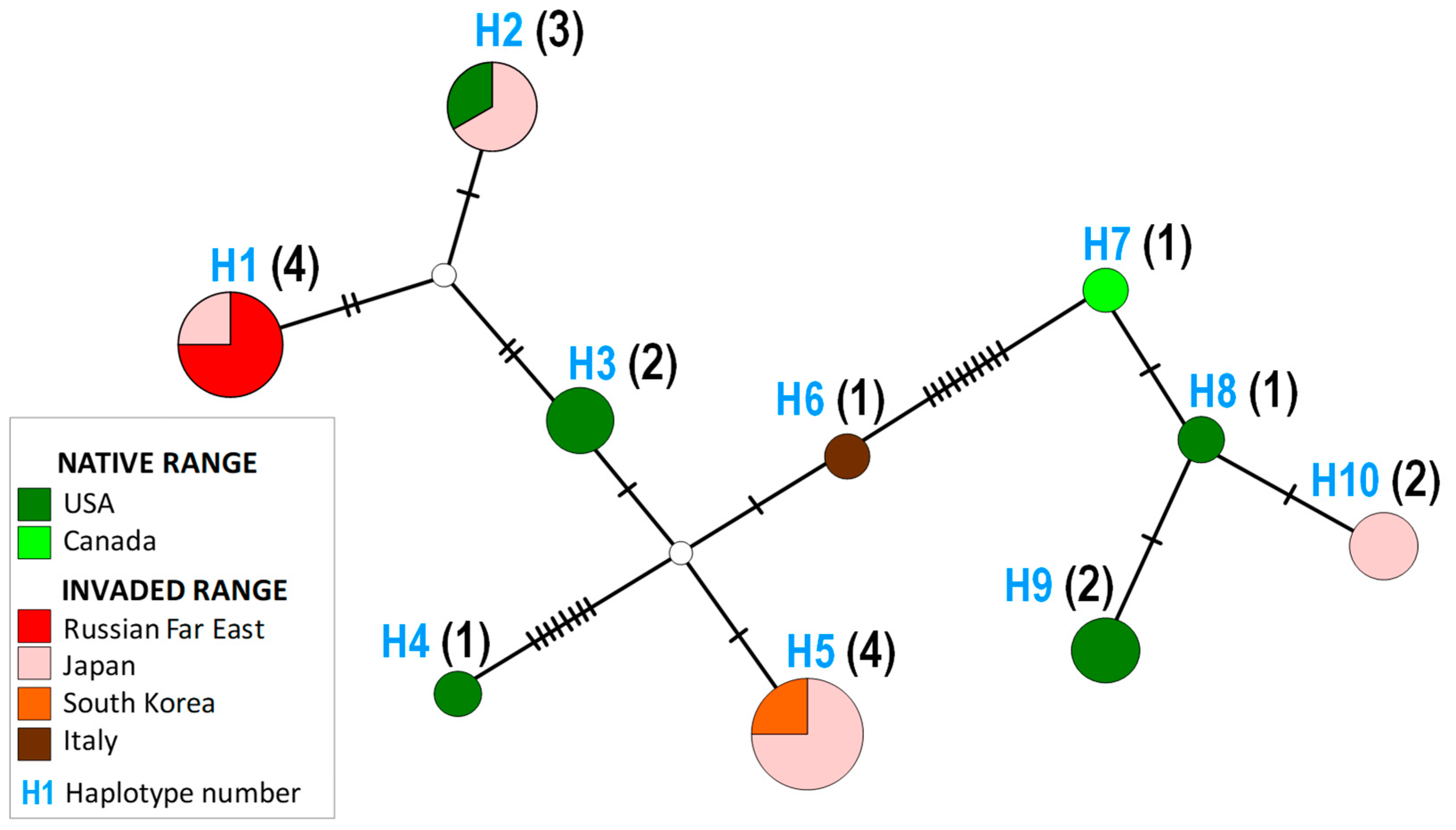 Insects 14 00642 g006
