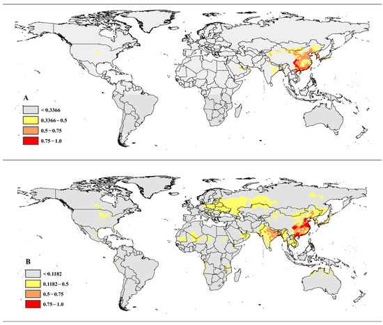 Top Kiwi-fruit Producing Countries In The World - WorldAtlas