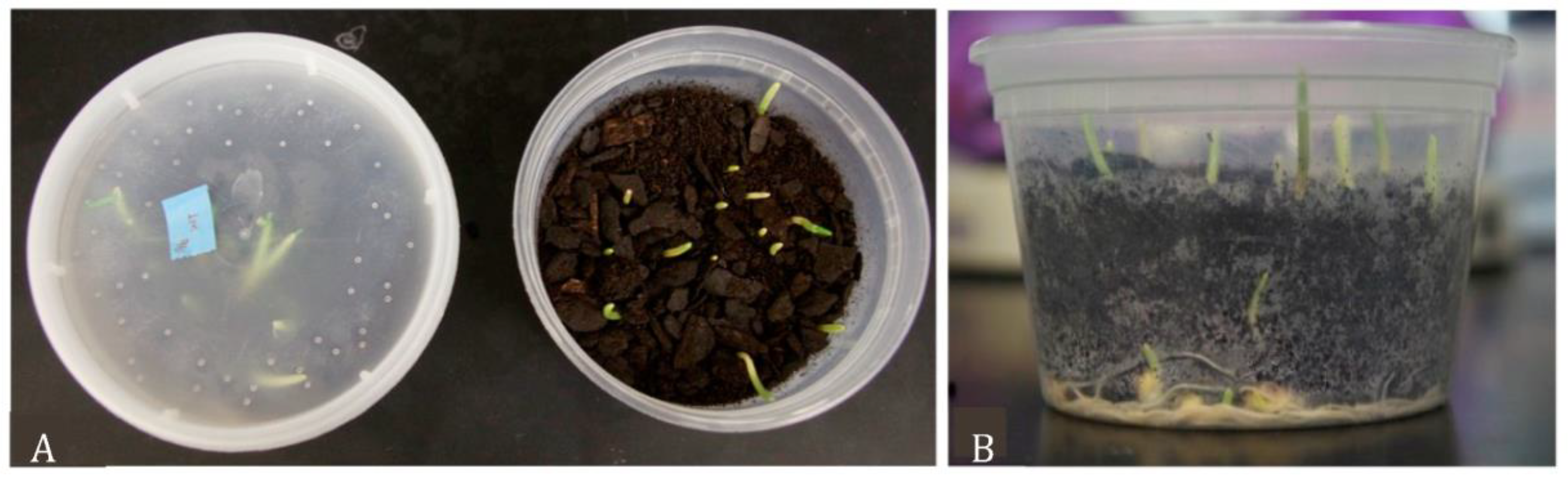 Insects 14 00683 g002 Insects 14 00683 g002