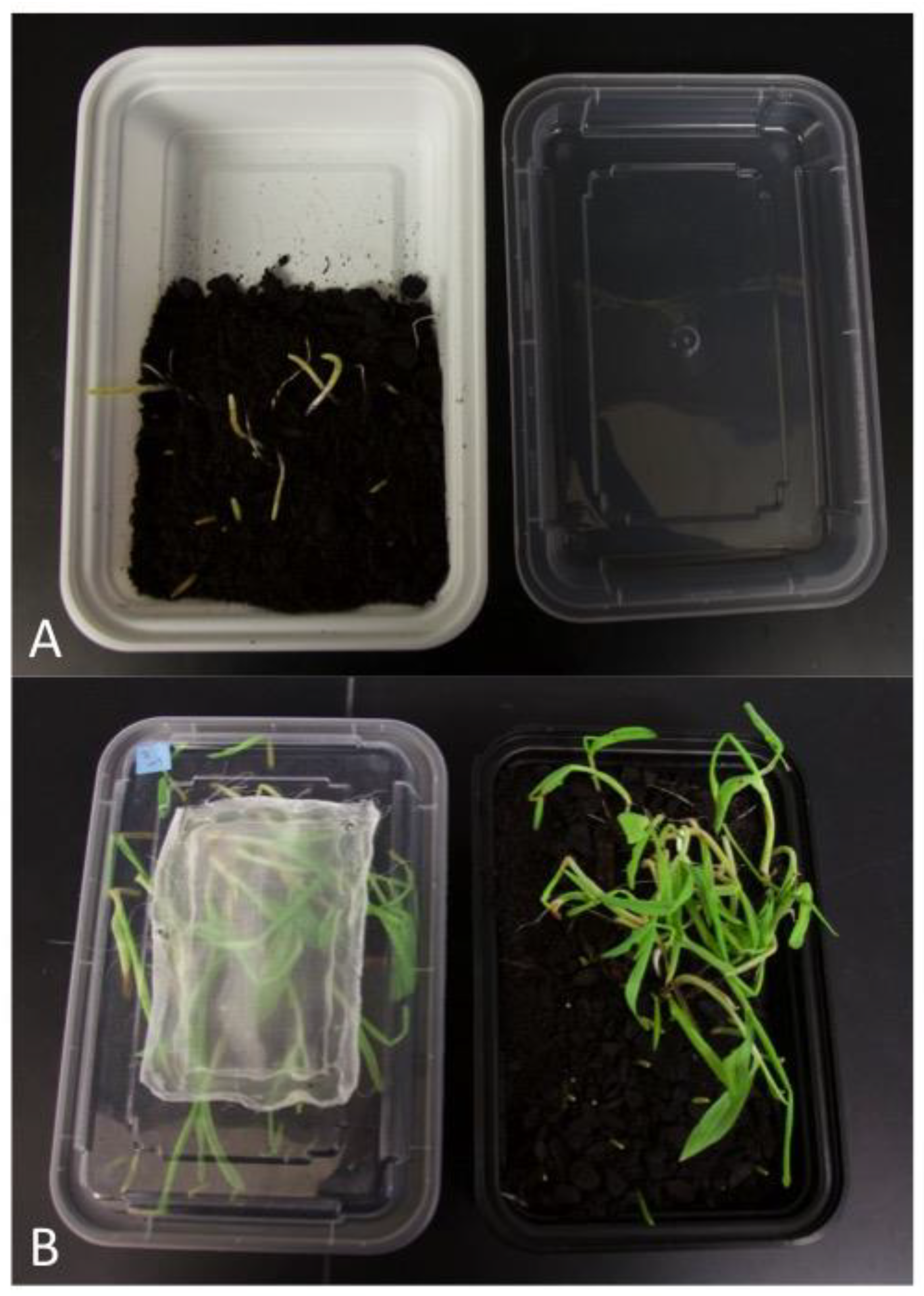 Insects 14 00683 g003 Insects 14 00683 g003