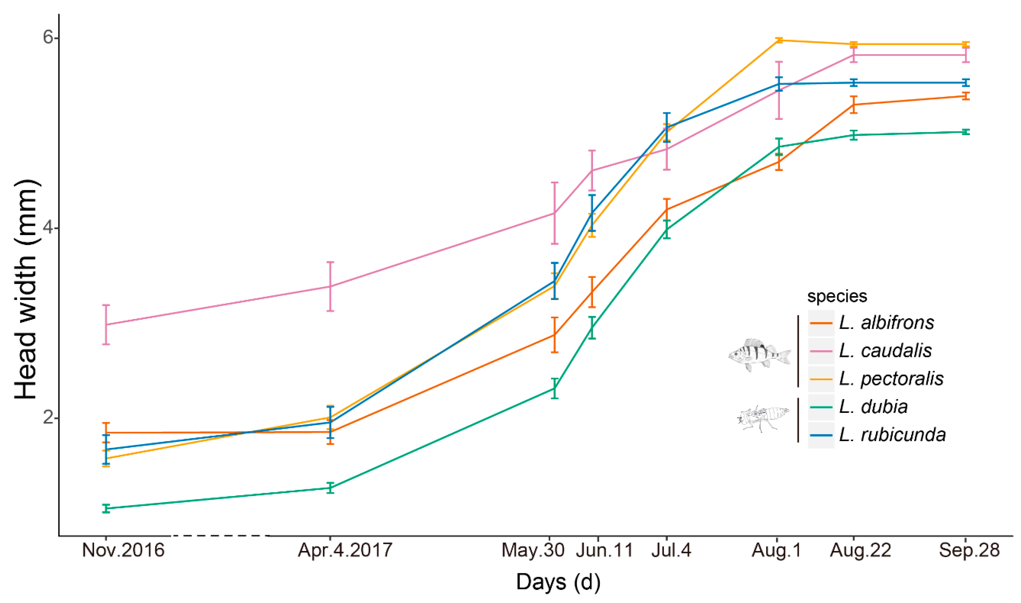 Insects 14 00712 g002