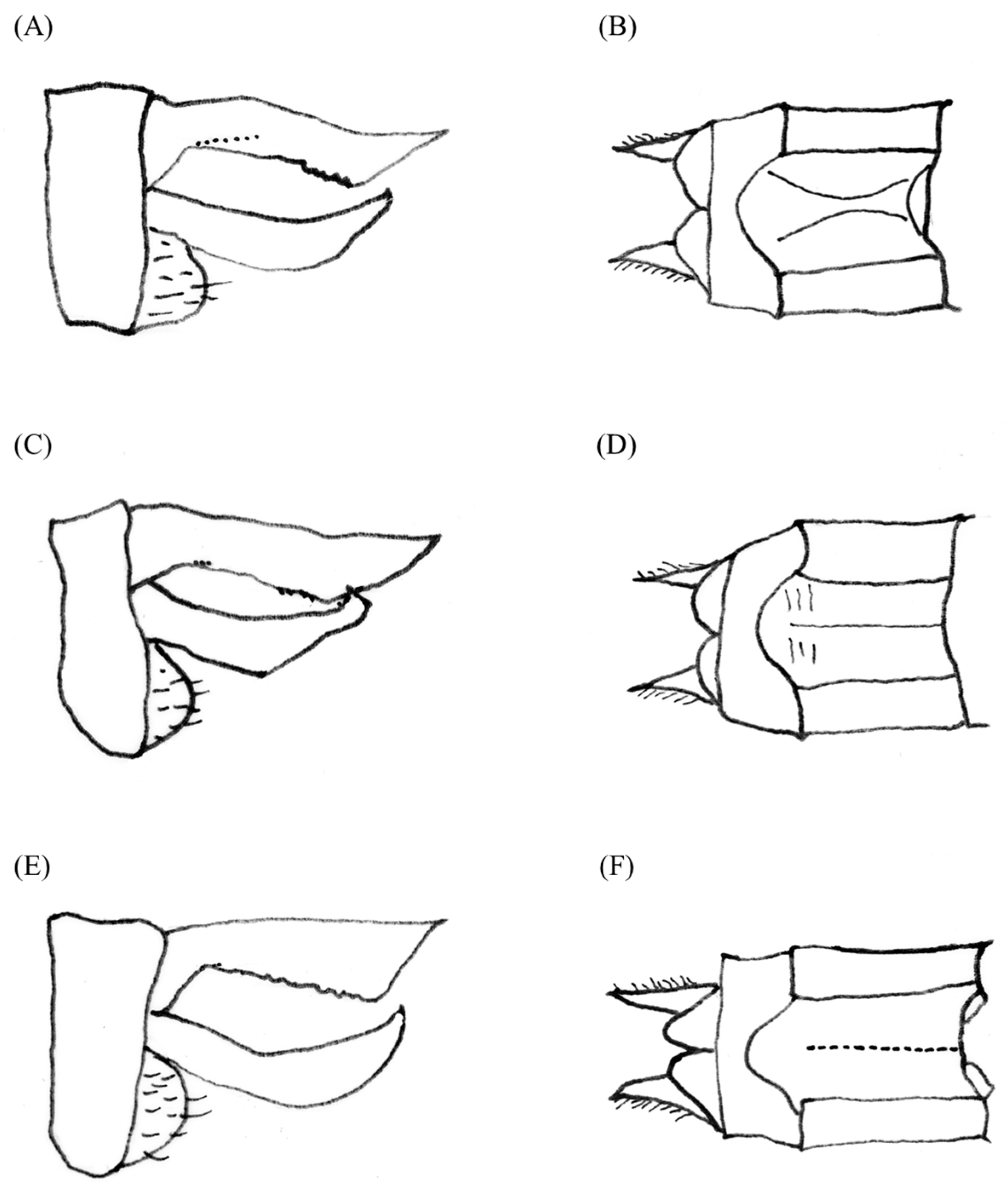 Insects 14 00733 g002