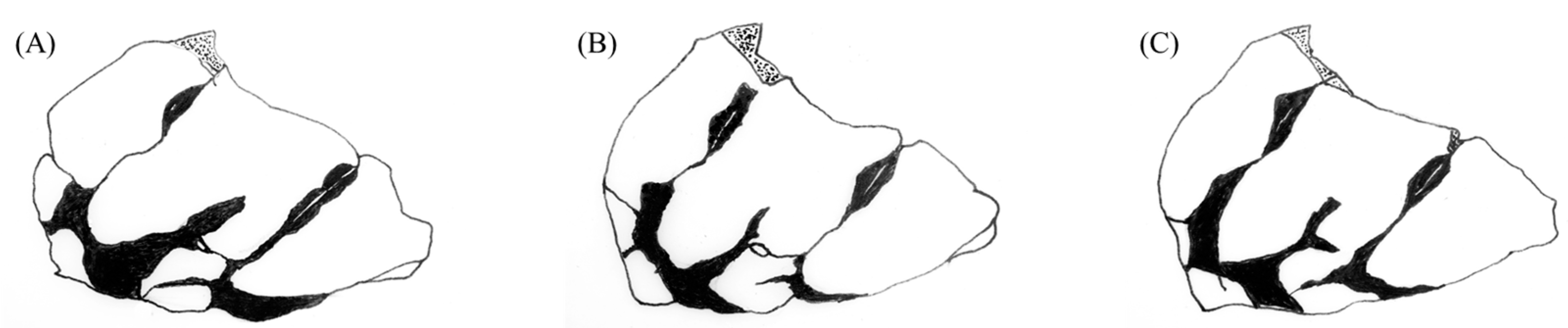 Insects 14 00733 g005