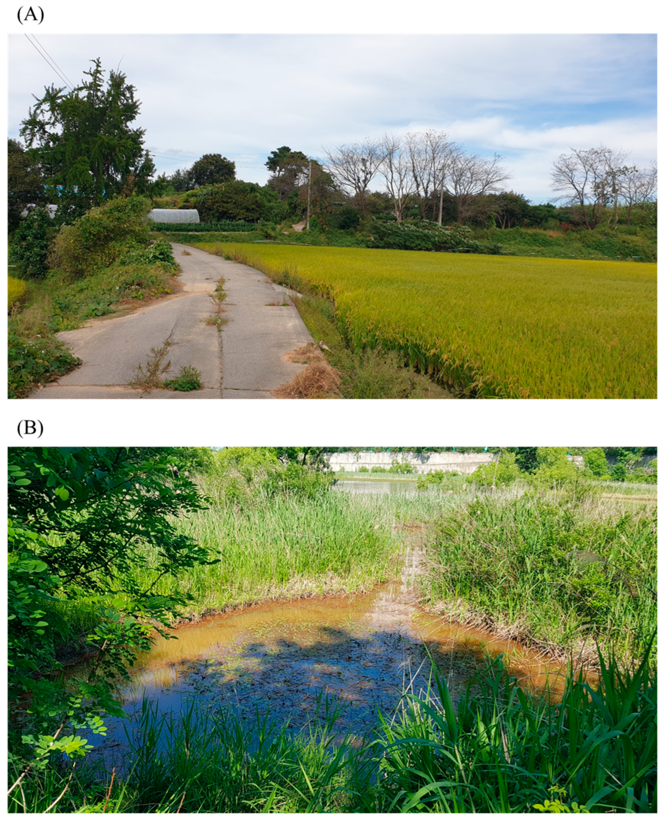 Insects 14 00733 g012