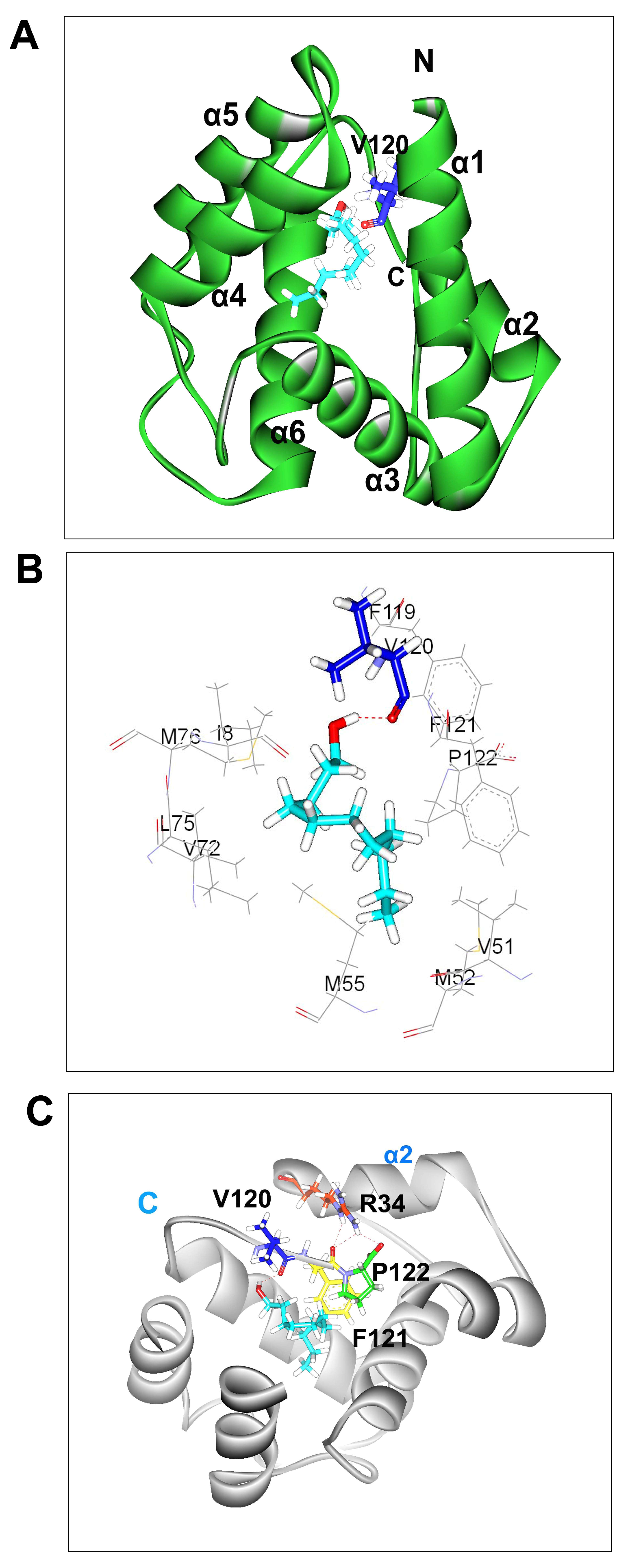 Insects 14 00745 g002