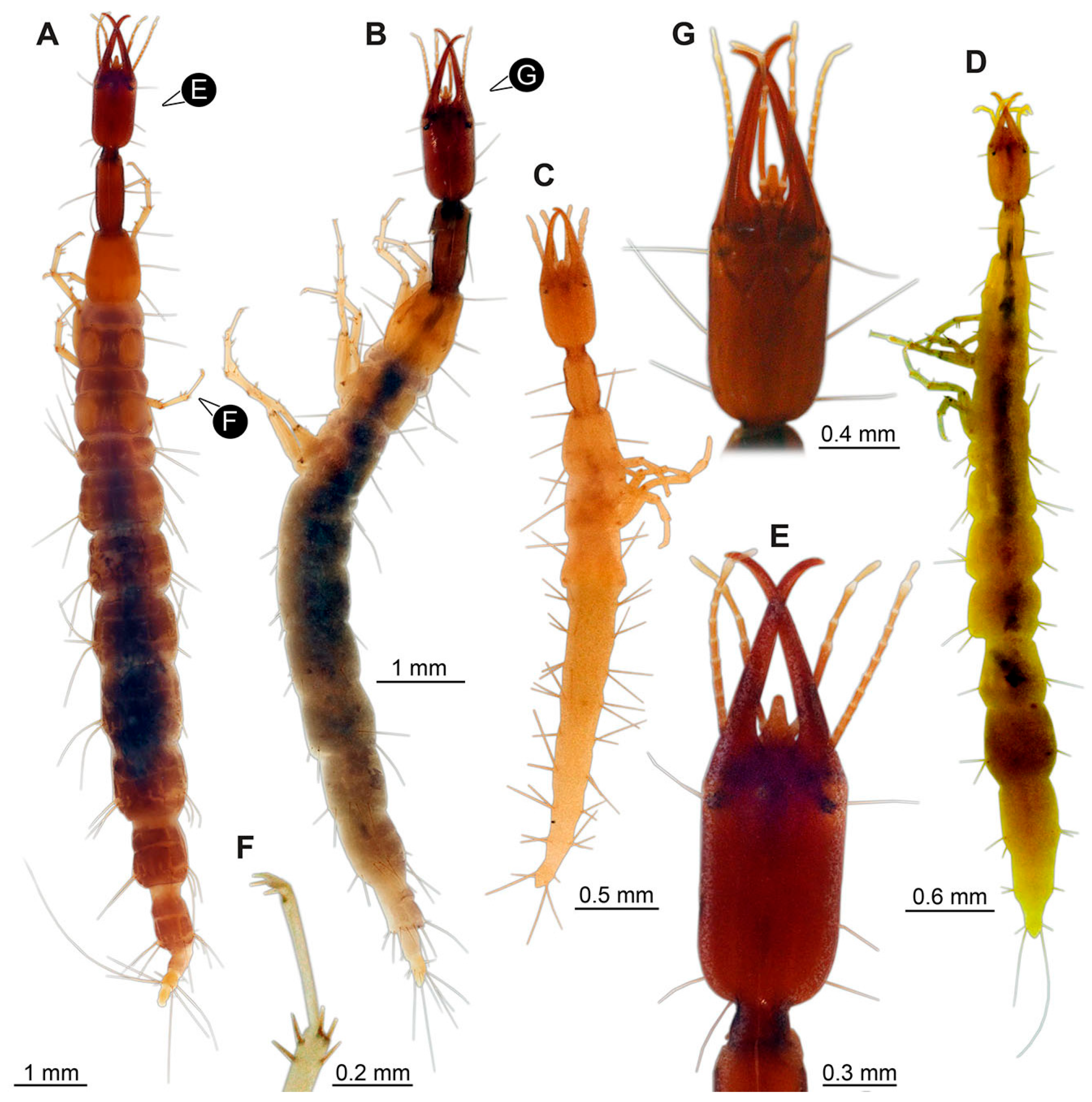 Insects 14 00749 g002 Insects 14 00749 g002