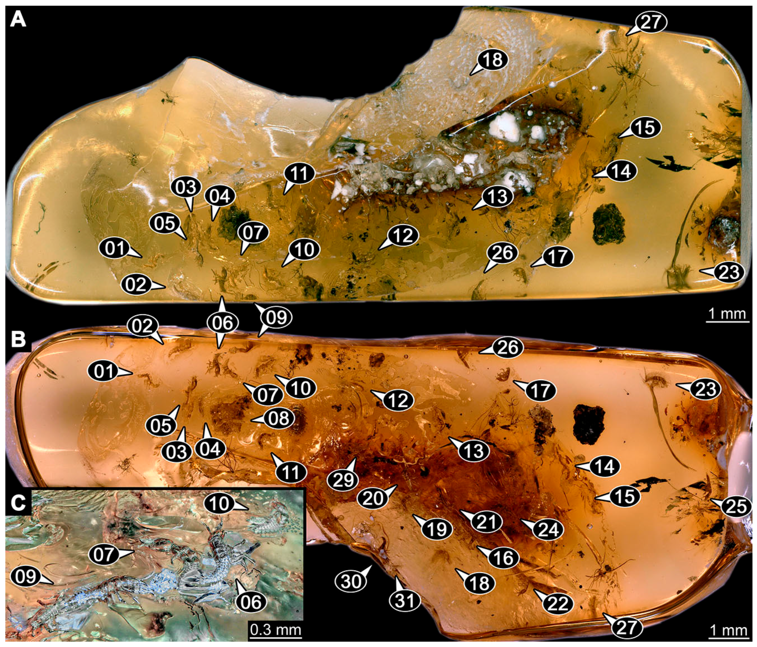 Insects 14 00749 g004 Insects 14 00749 g004