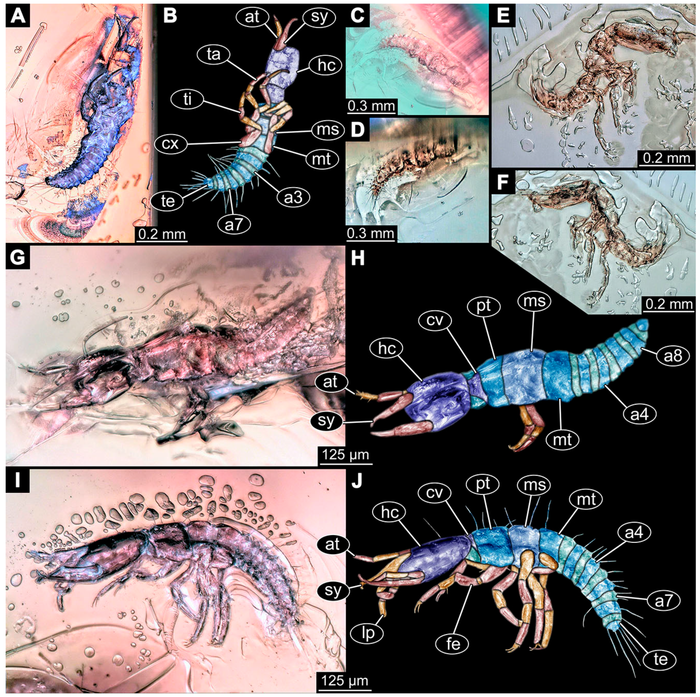 Insects 14 00749 g005 Insects 14 00749 g005