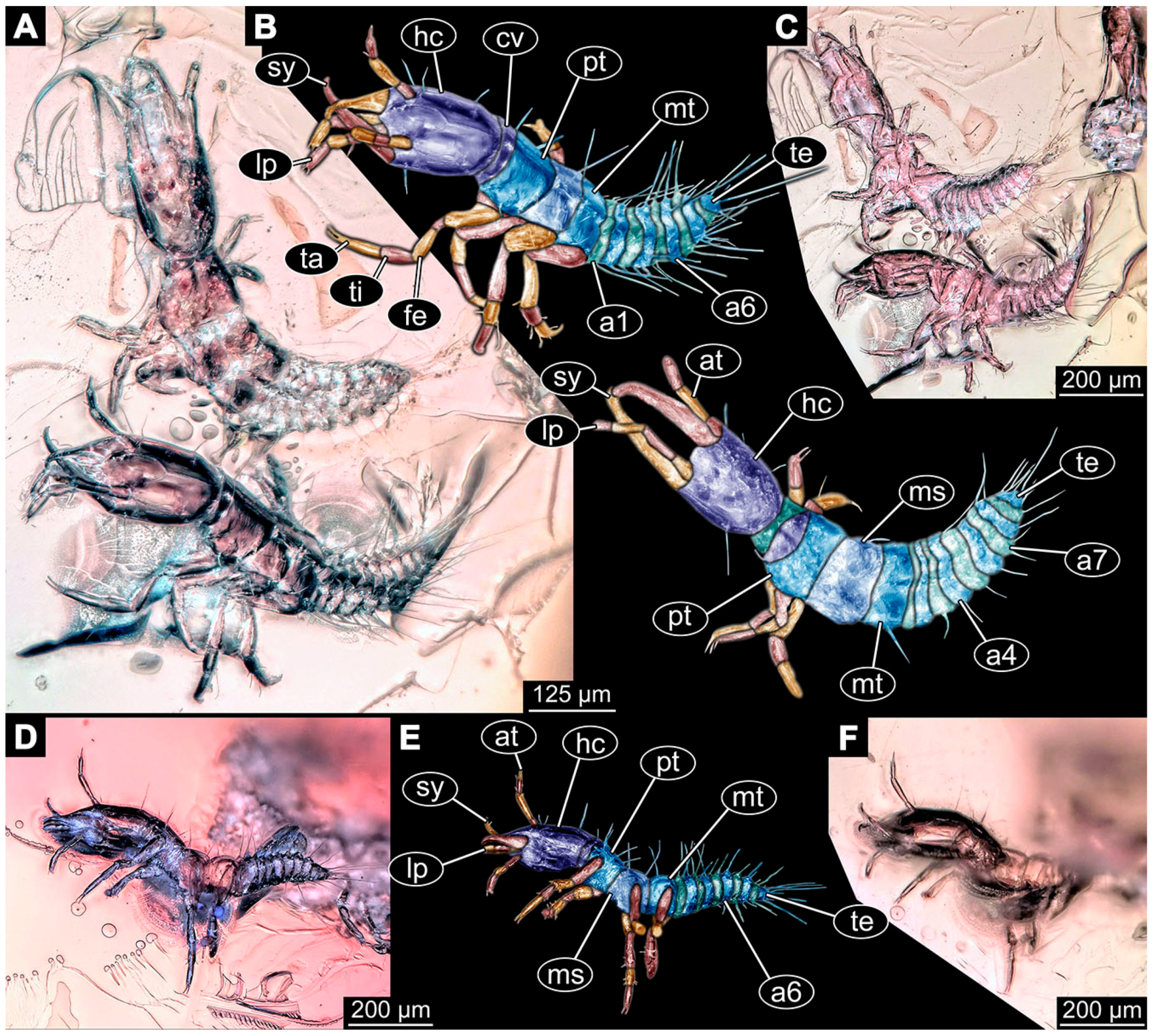 Insects 14 00749 g006 Insects 14 00749 g006