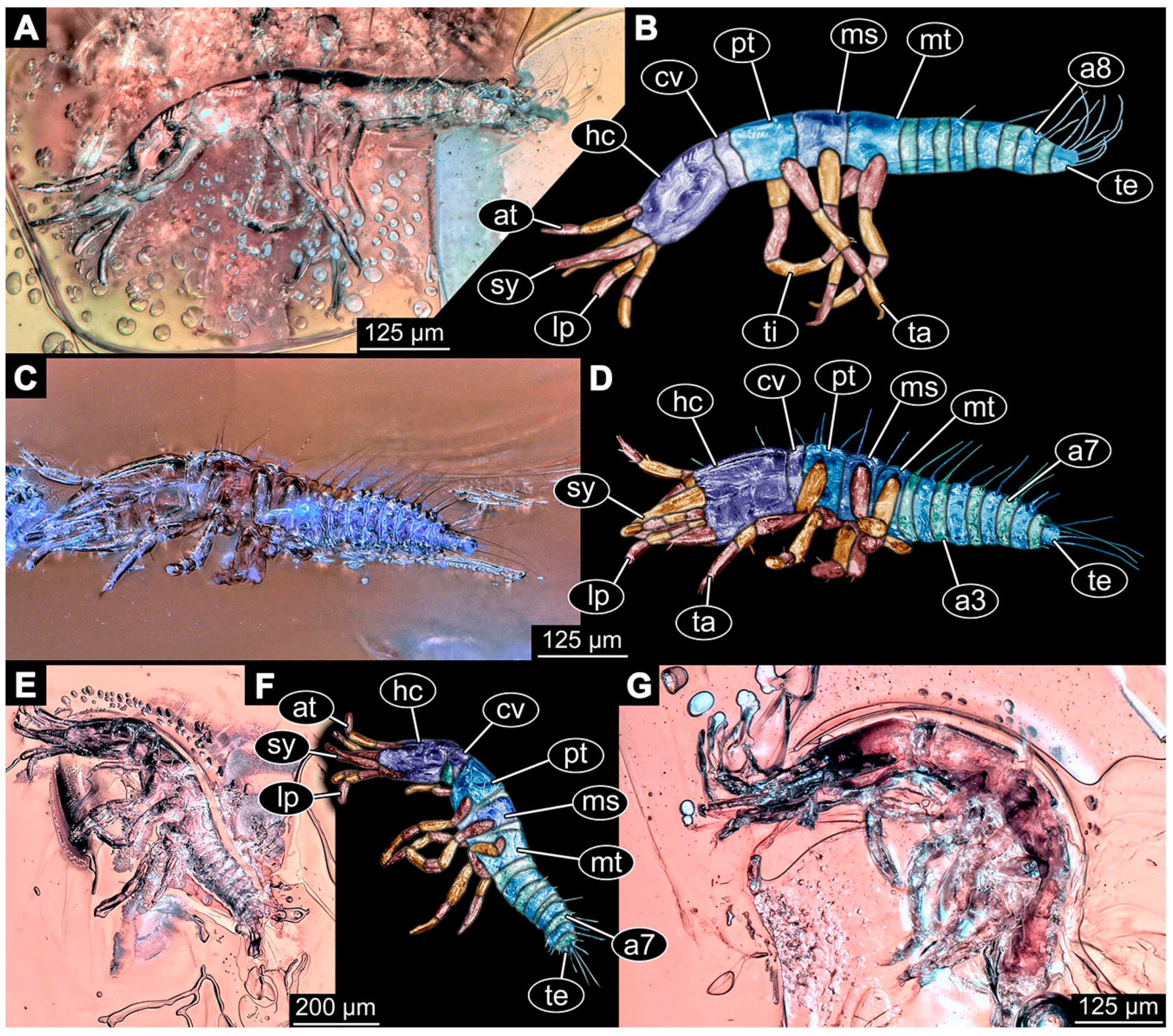 Insects 14 00749 g007 Insects 14 00749 g007