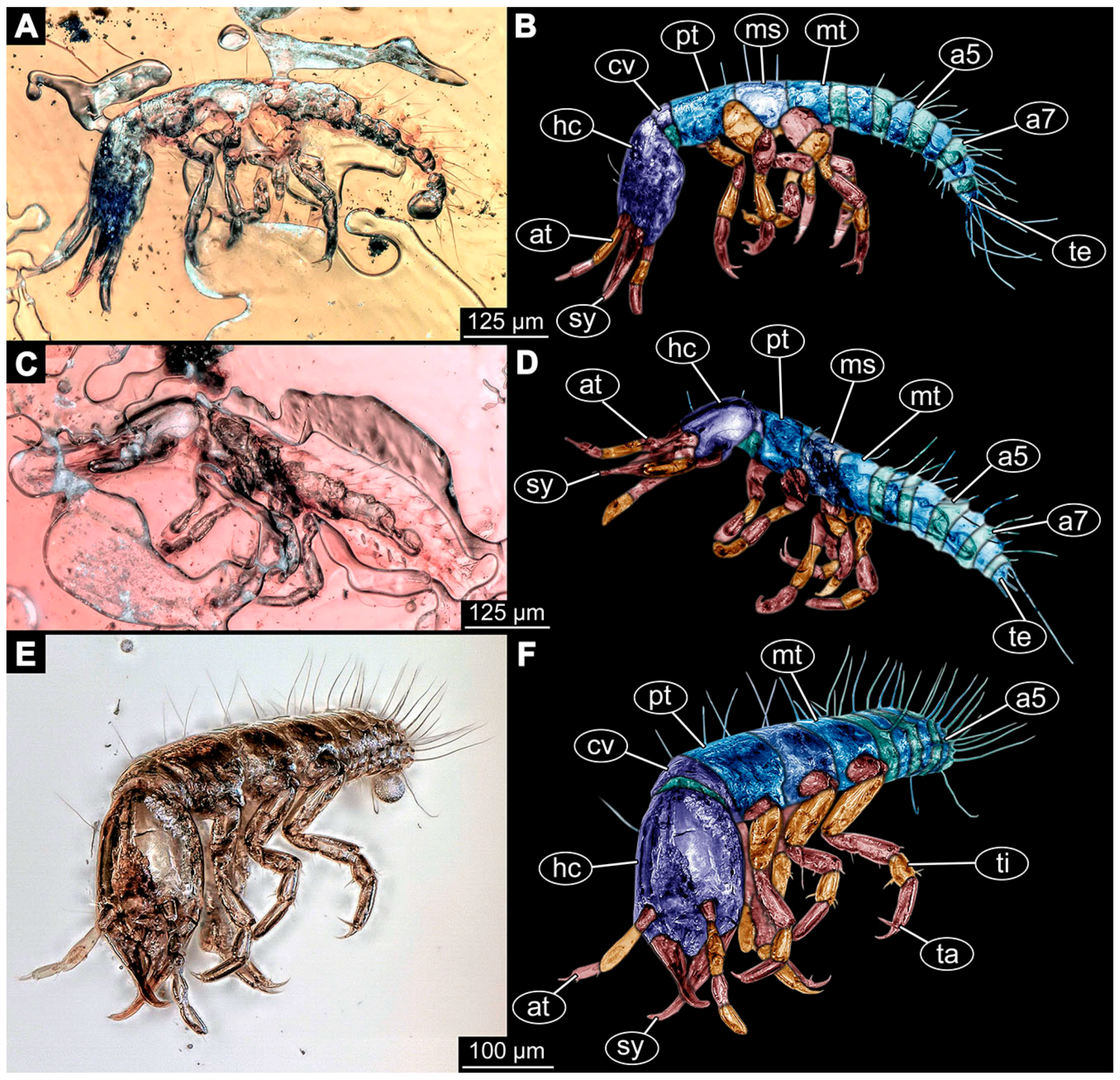 Insects 14 00749 g008 Insects 14 00749 g008