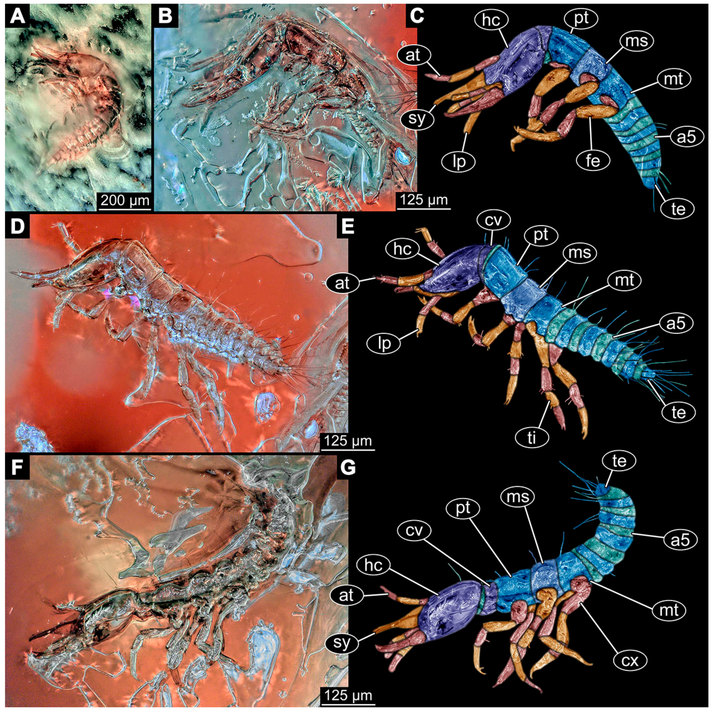 Insects 14 00749 g009 Insects 14 00749 g009