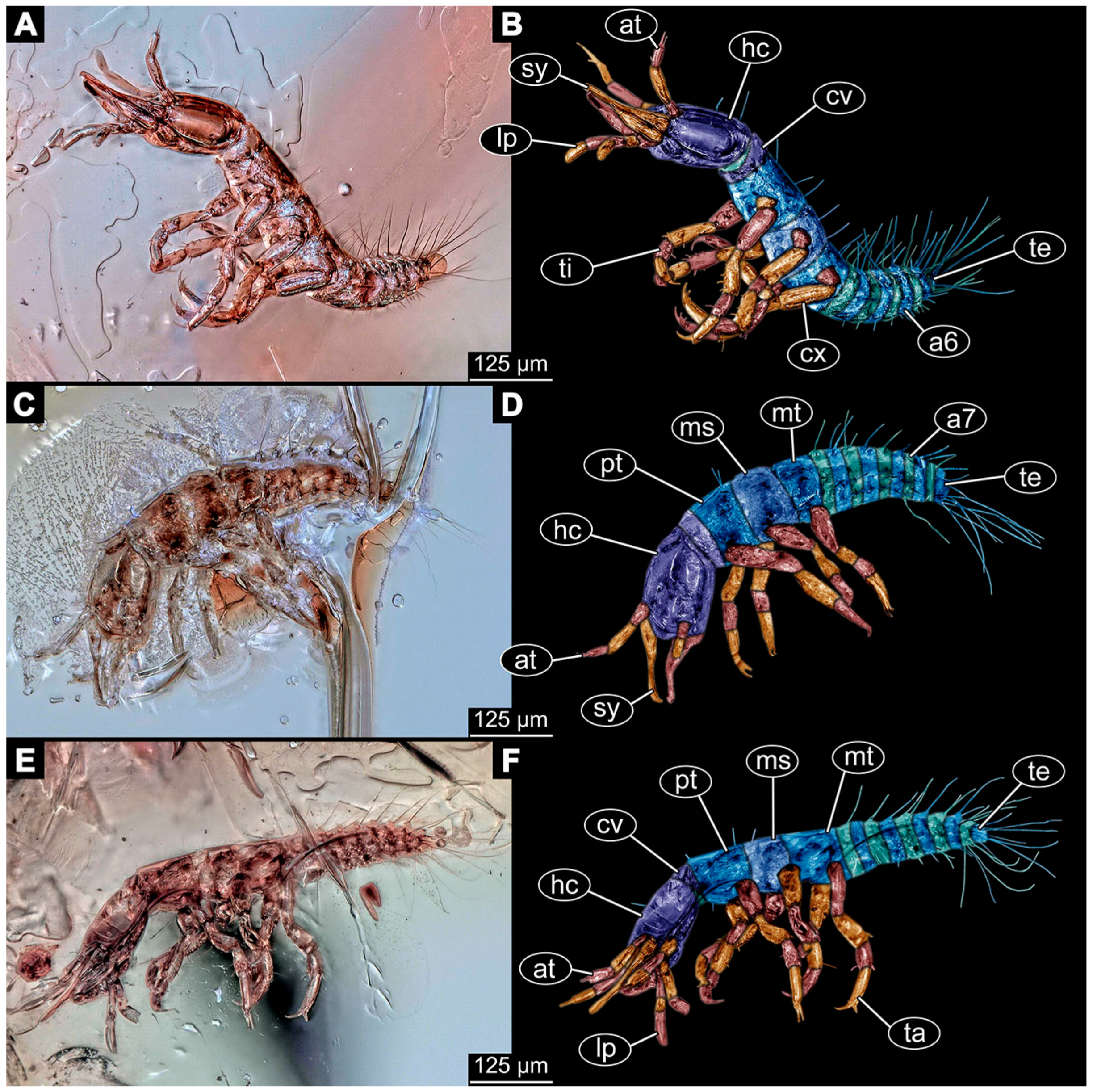 Insects 14 00749 g010 Insects 14 00749 g010