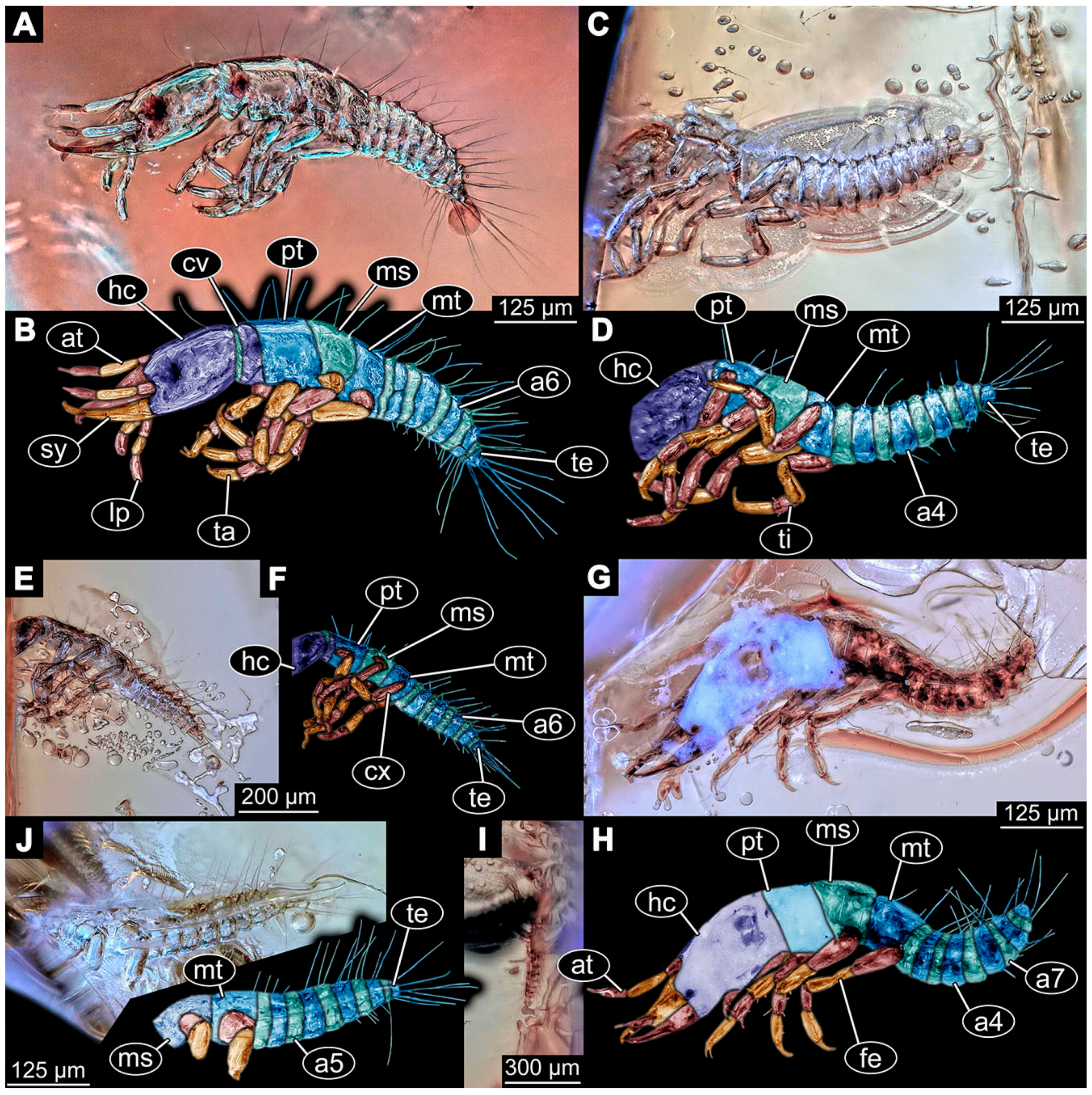 Insects 14 00749 g011 Insects 14 00749 g011